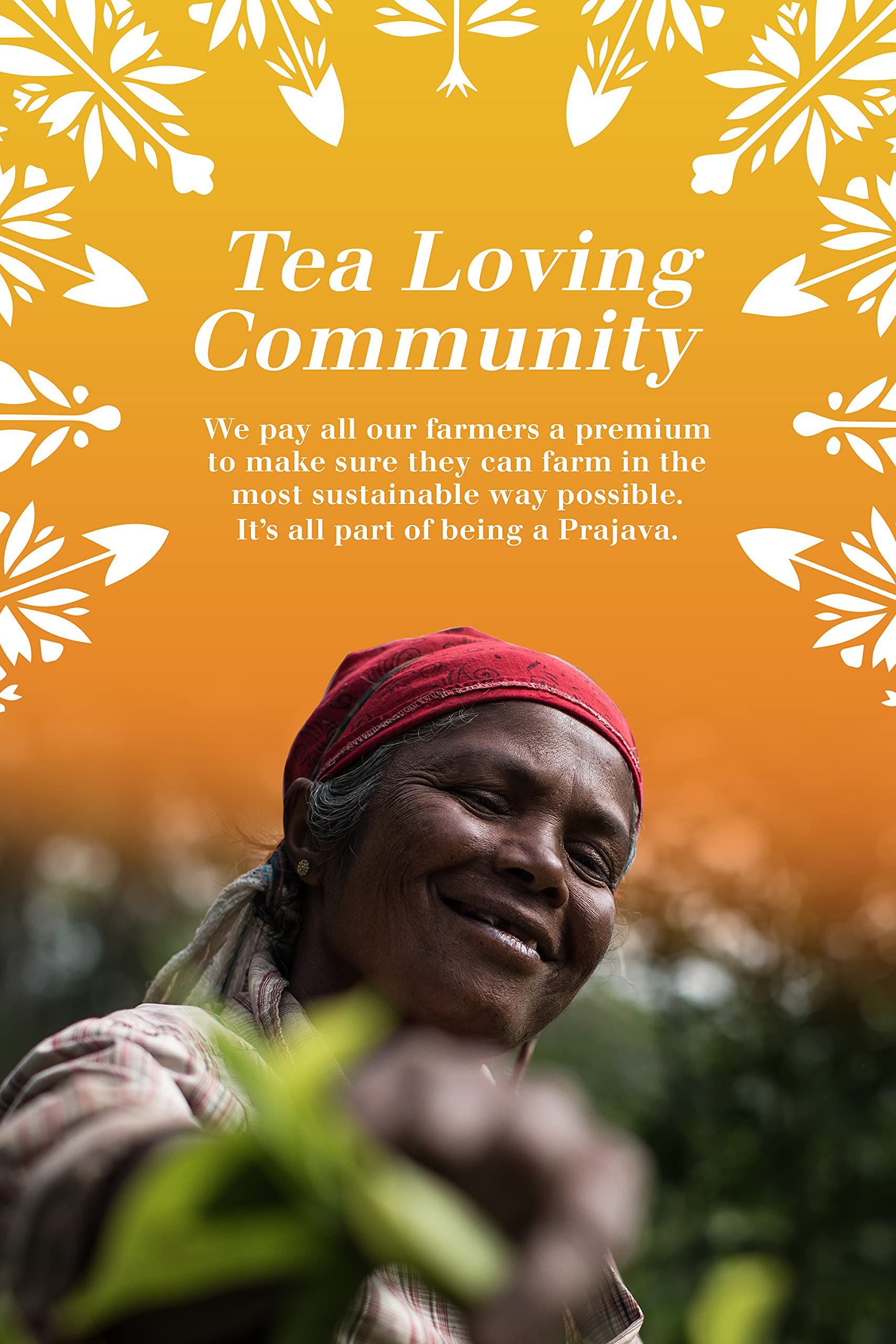 English Tea Shop Organic Super Goodness Collection Gift Tin - 36 Tea Bags 12