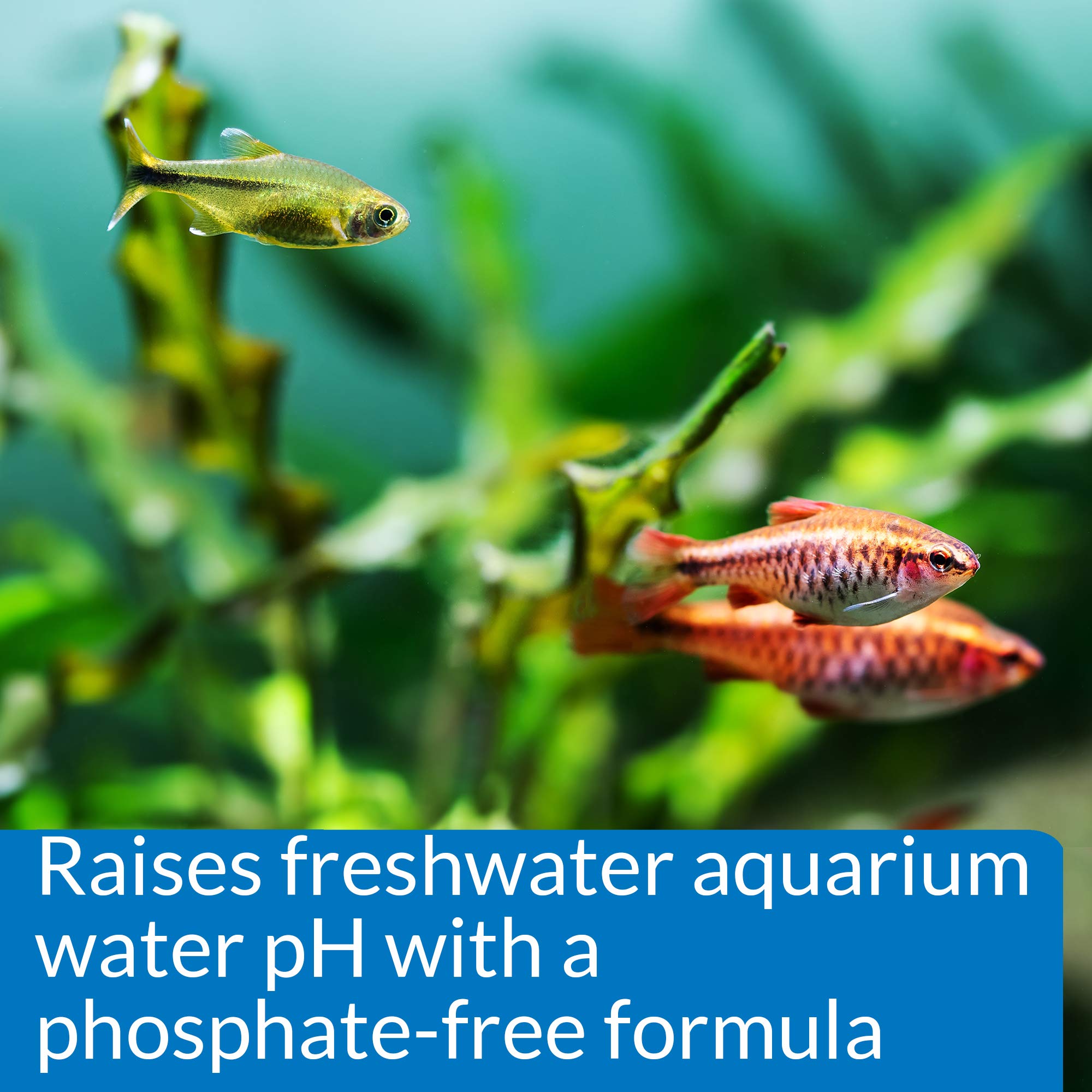 API pH UP Freshwater Aquarium Water pH Raising Solution - Phosphate-Free Formula | 118 ml 3