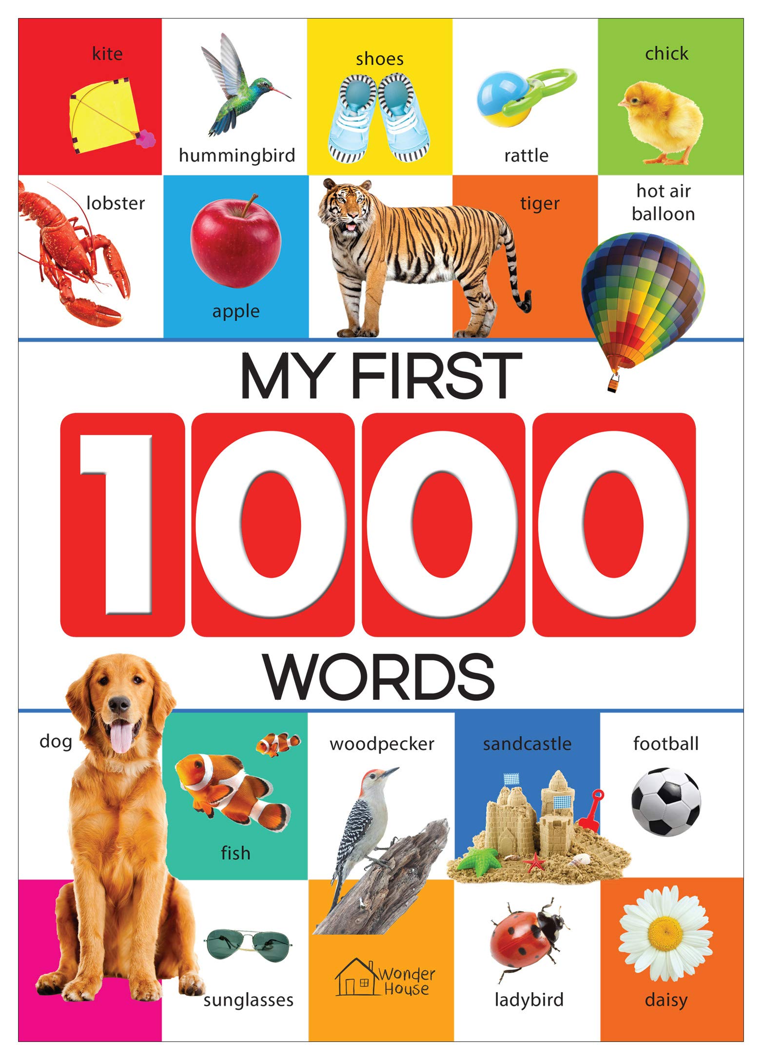 Wonder House My First 1000 Words Early Learning Picture Book | Paperback | English 2