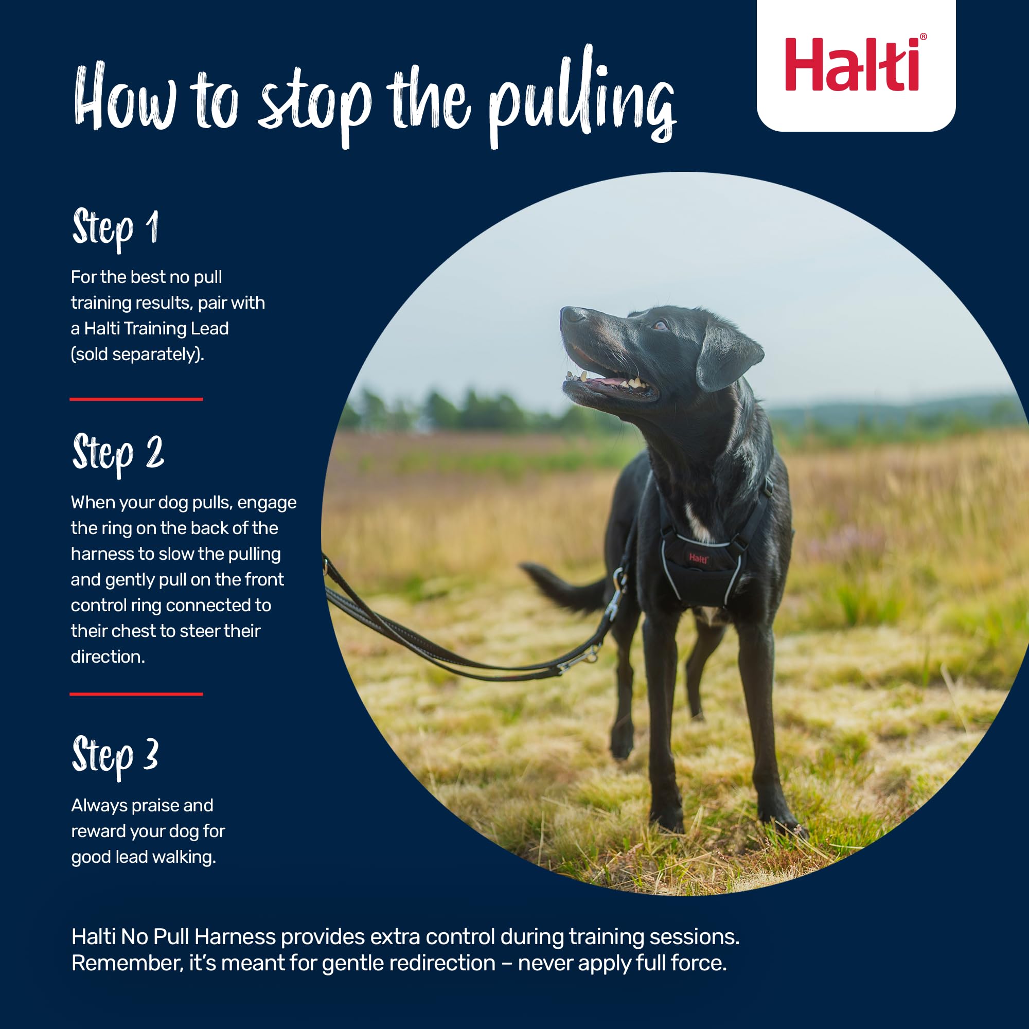 Halti No Pull Dog Harness - Stops Pulling | Size M | Pink 4