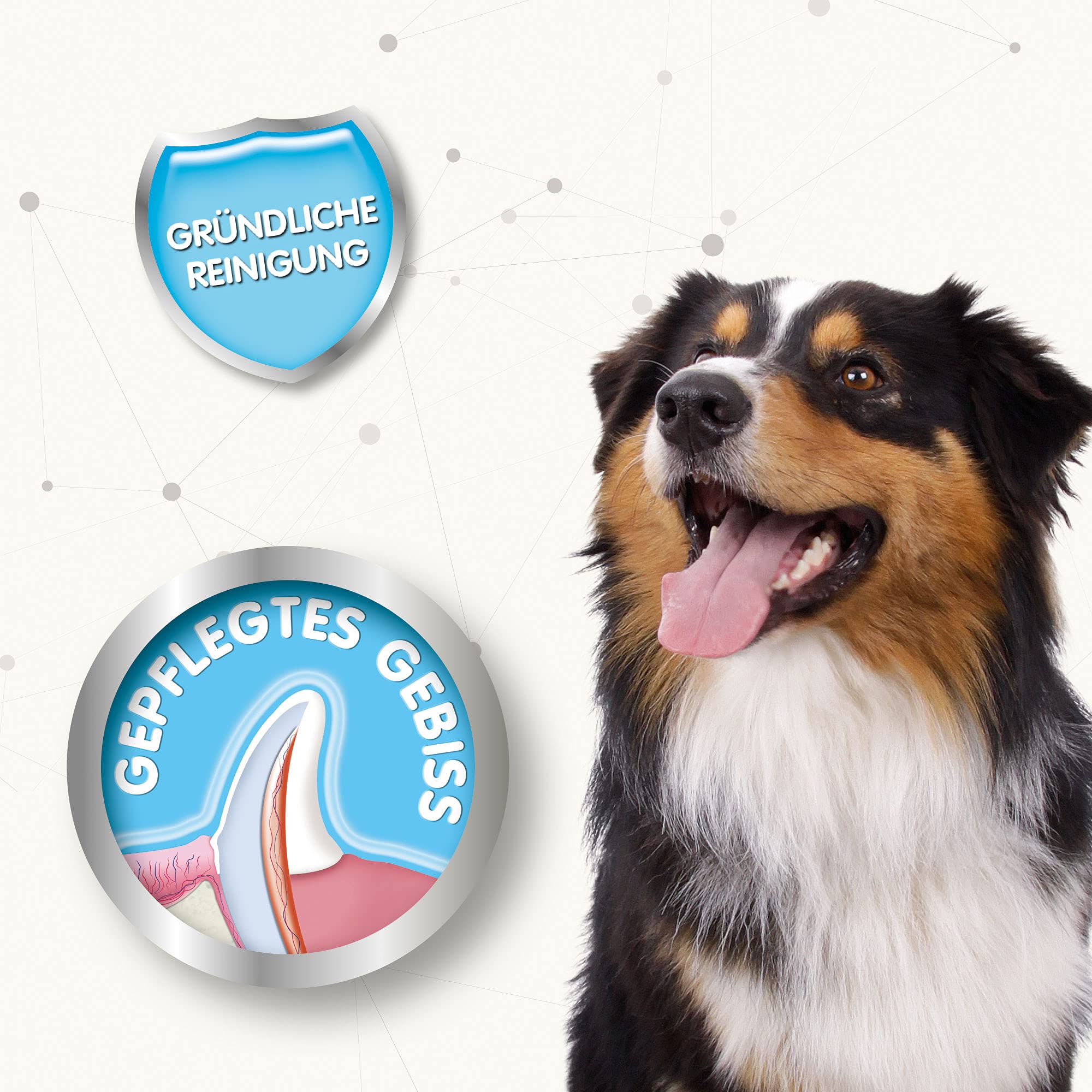 Beaphar Finger Toothbrush for Dogs and Cats - Gentle Cleaning, Red, 2 Count Pack 4