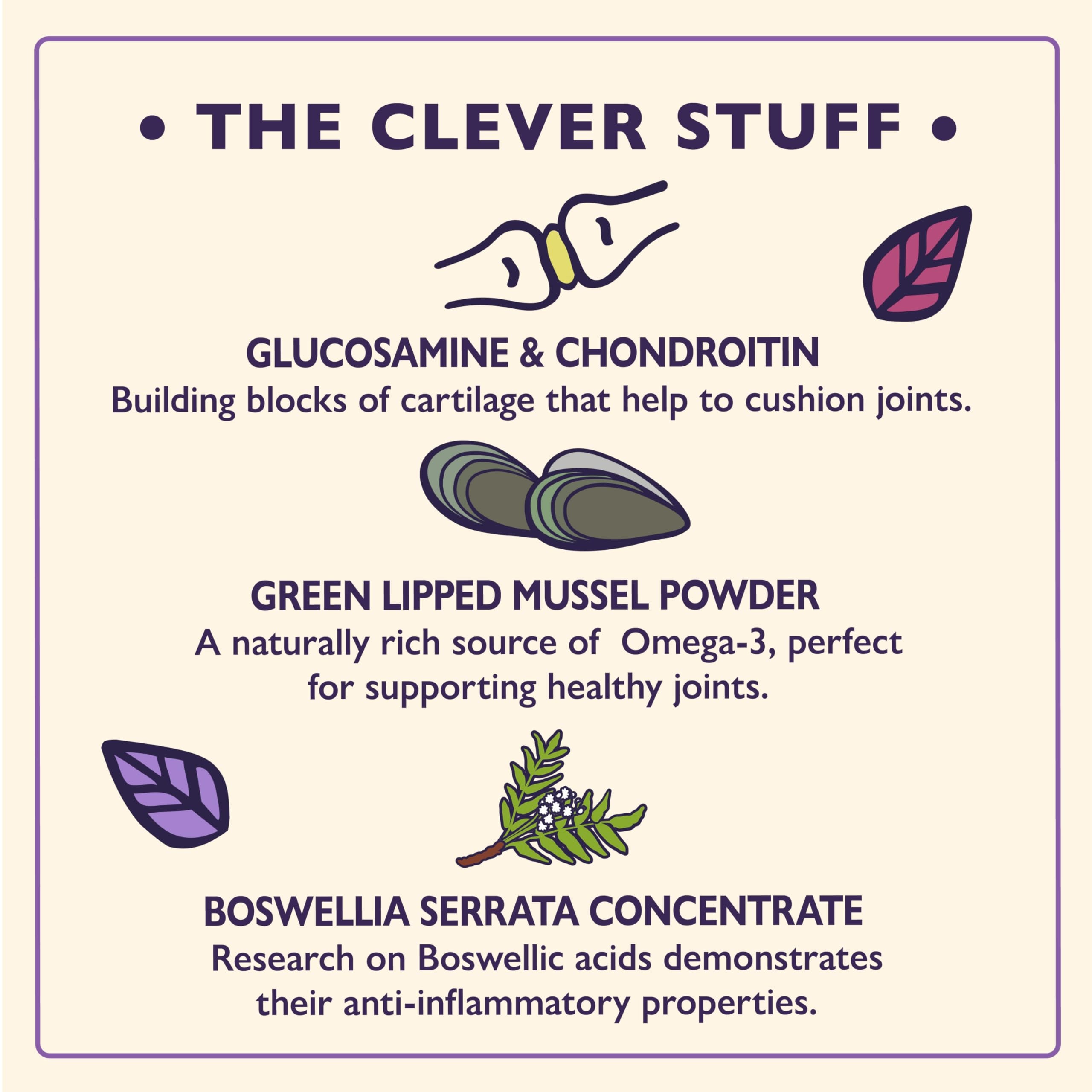 Lily's Kitchen Joints & Mobility Supplements for Adult & Senior Dogs | Glucosamine & Chondroitin