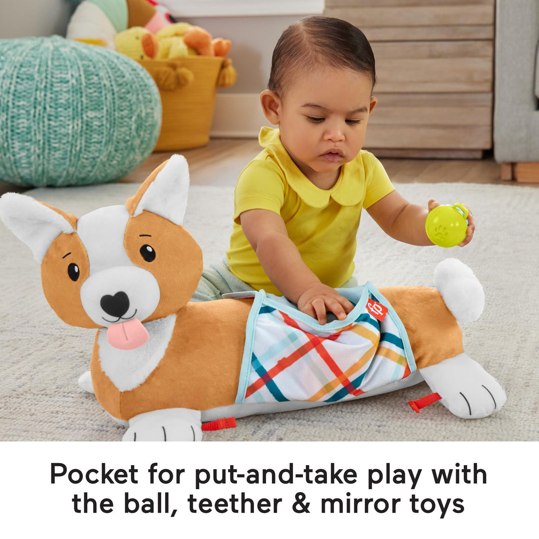 Fisher-Price 3-in-1 Puppy Tummy Time Wedge - Plush Support with Rattle, Teether & Mirror