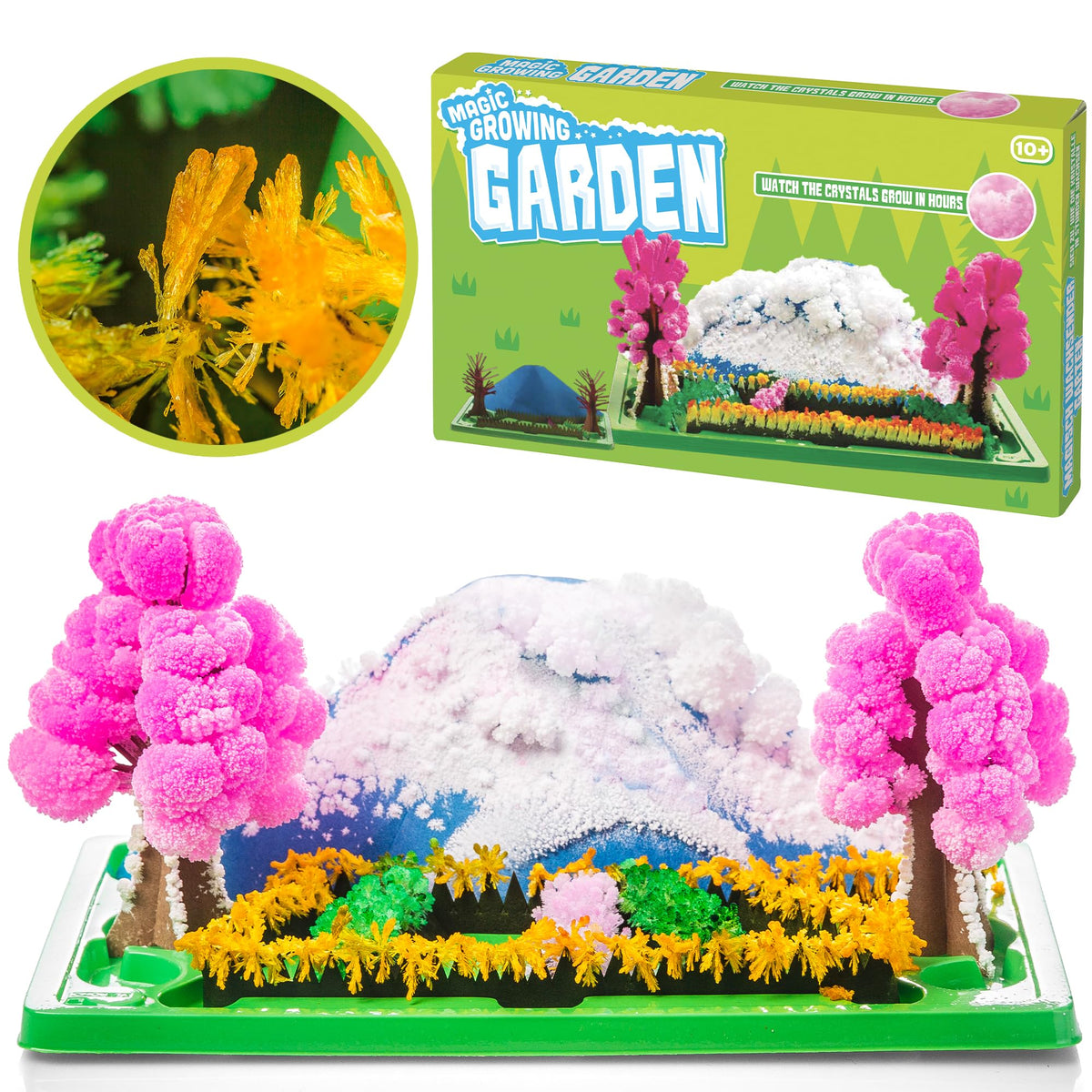 Tobar Magic Growing Garden Crystal Activity Kit - Indoor Science Set
