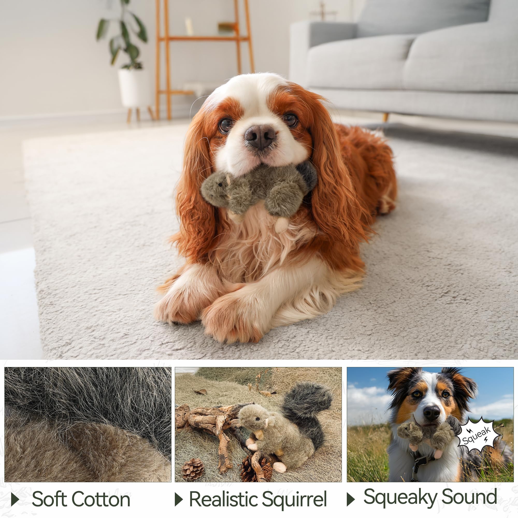 ALL FOR PAWS Squirrel Plush Dog Toy with Squeaker | Small Size | Lightweight 5
