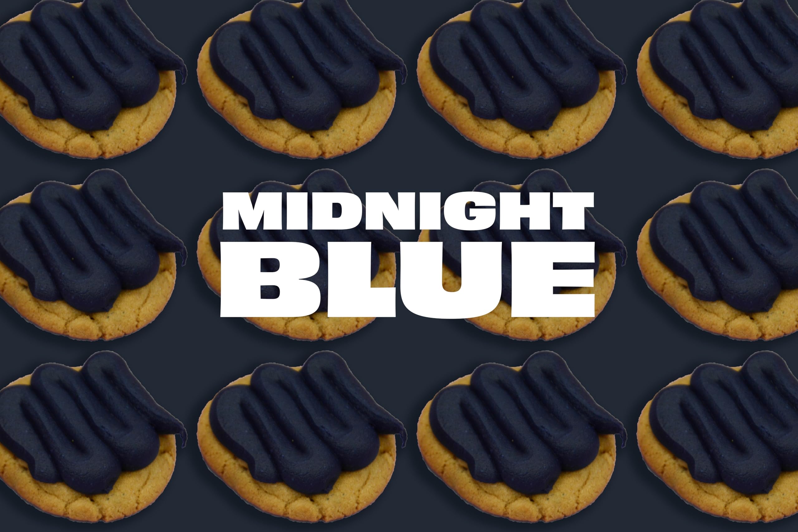 Renshaw Water Based Gel Food Colouring - Midnight Blue (Navy) | 20g Gel Formula 2