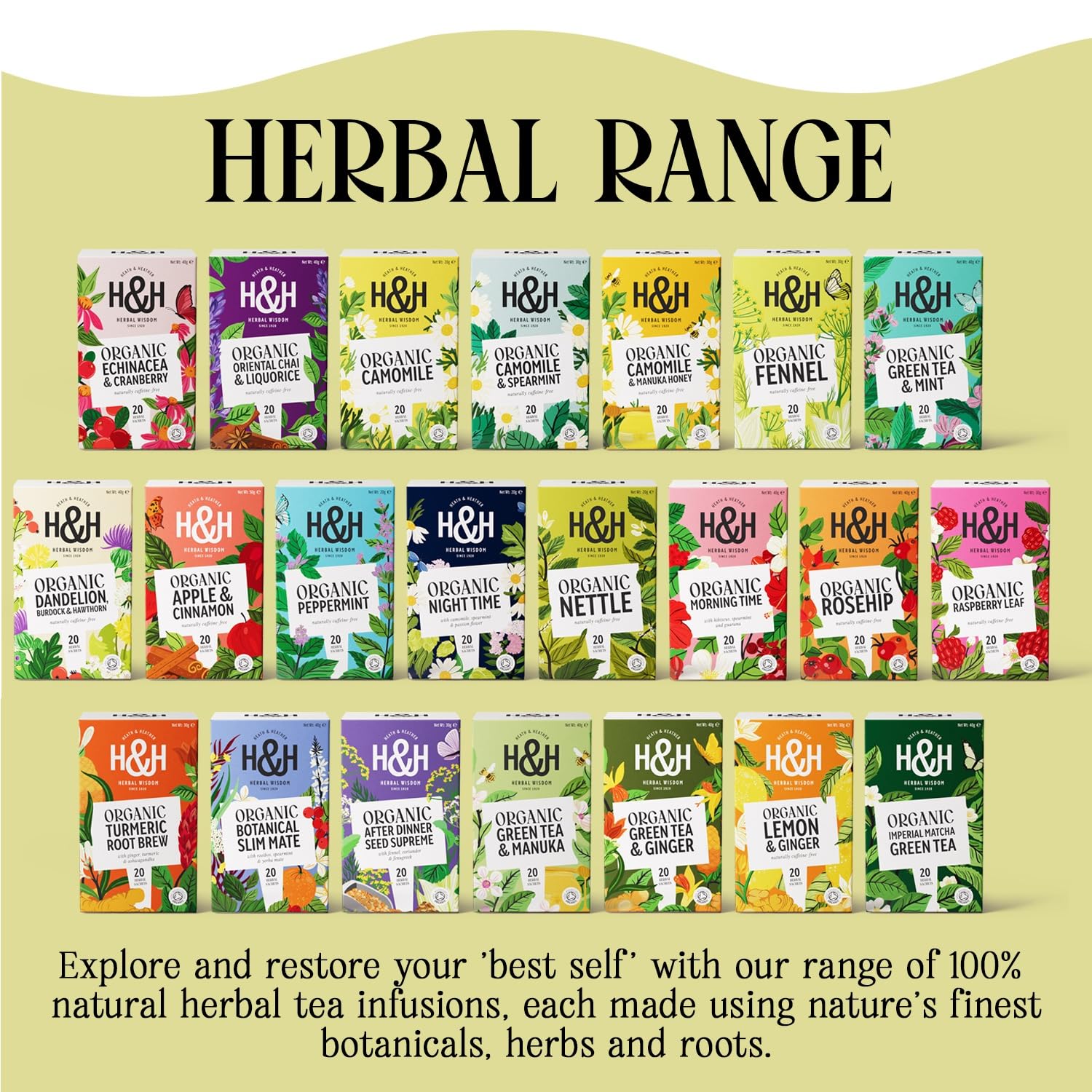 Heath & Heather Organic Nettle Tea - 20 Count Teabags | Detox & Immunity Support | Caffeine-Free 6