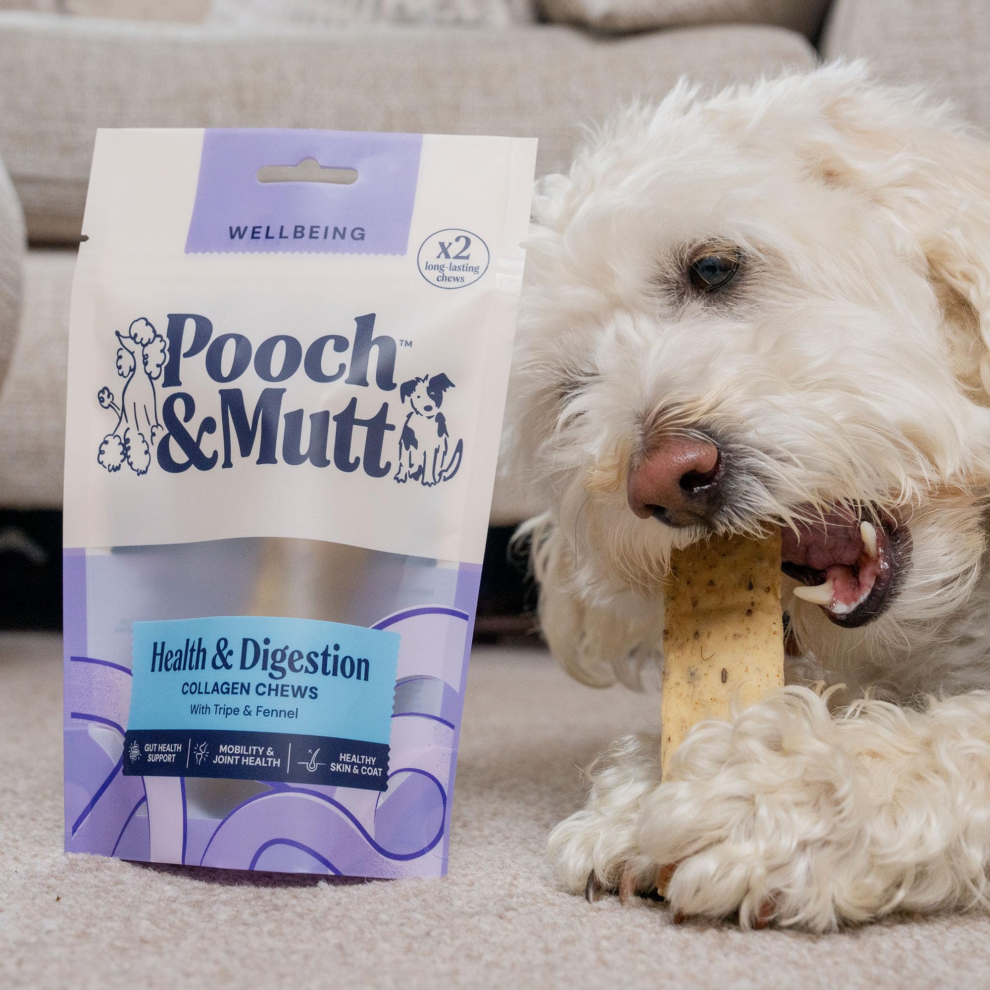 Pooch & Mutt Digestive Support Collagen Dog Chews | Beef Flavour | Adult All Breed 2