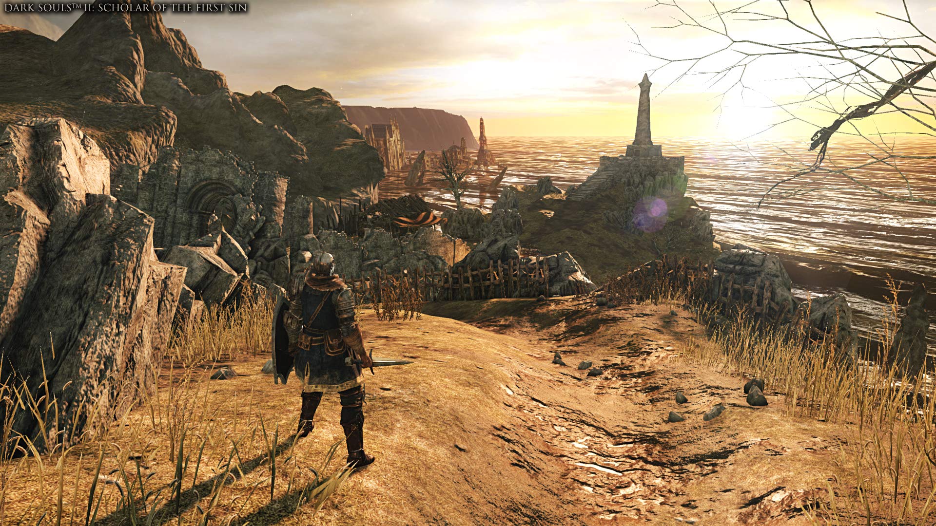 Dark Souls Trilogy [Xbox One] 2