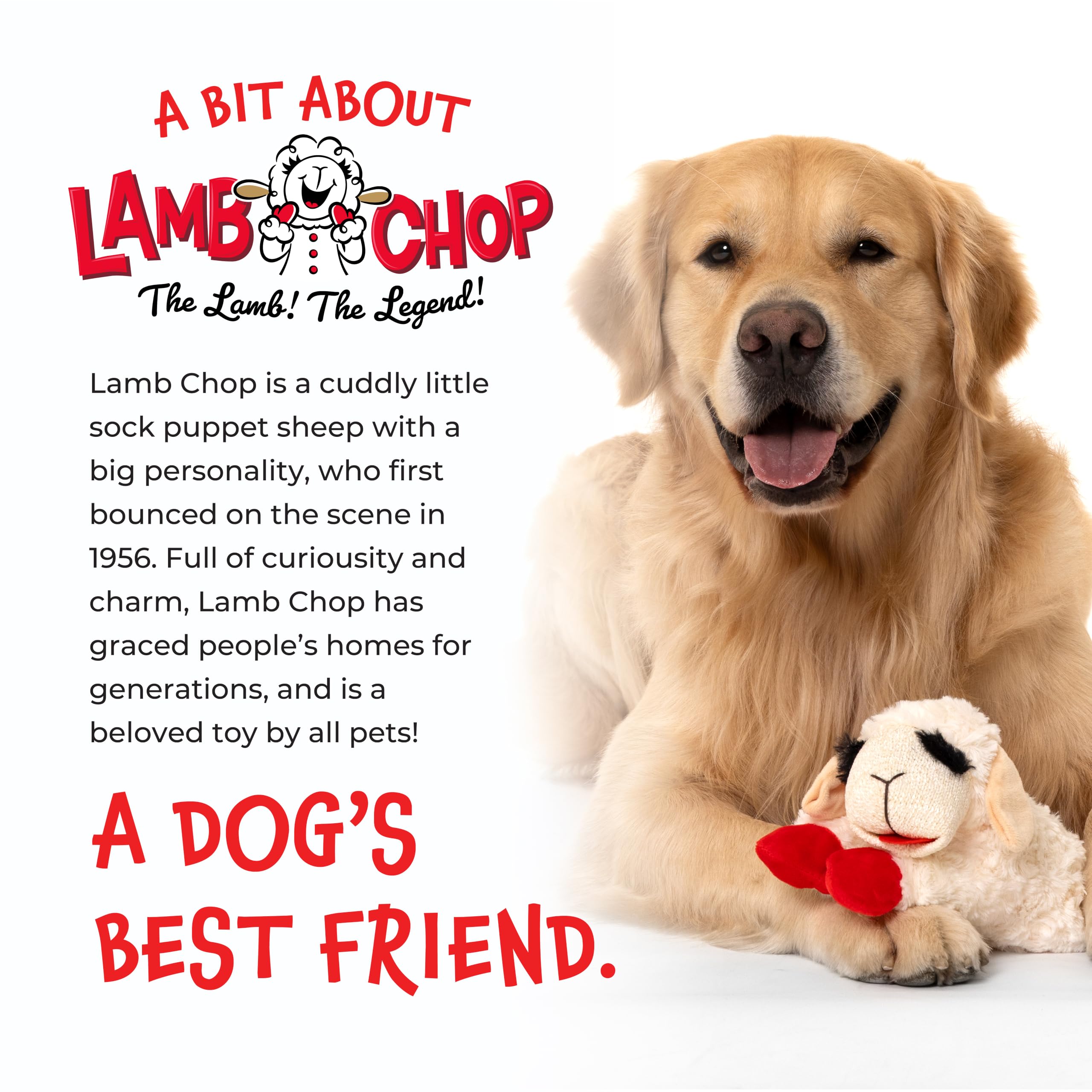 Multipet Lamb Chop Jumbo White Plush Dog Toy - 24-Inch XXL for Large Dogs | Single Squeaker 8
