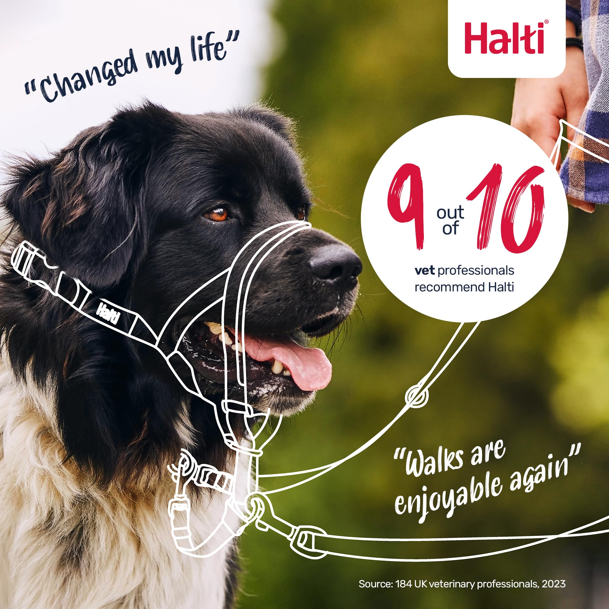 Halti Headcollar for Dogs - Stops Pulling | Size 2, Pink 6