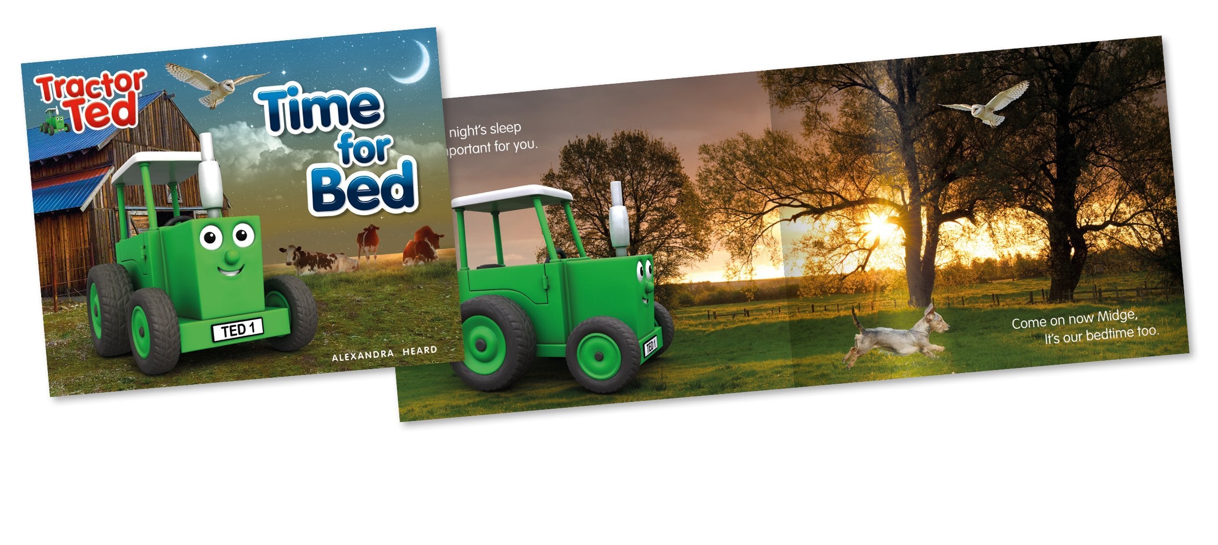Tractor Ted - Time for Bed: Tractor Ted: 10 | Paperback | English