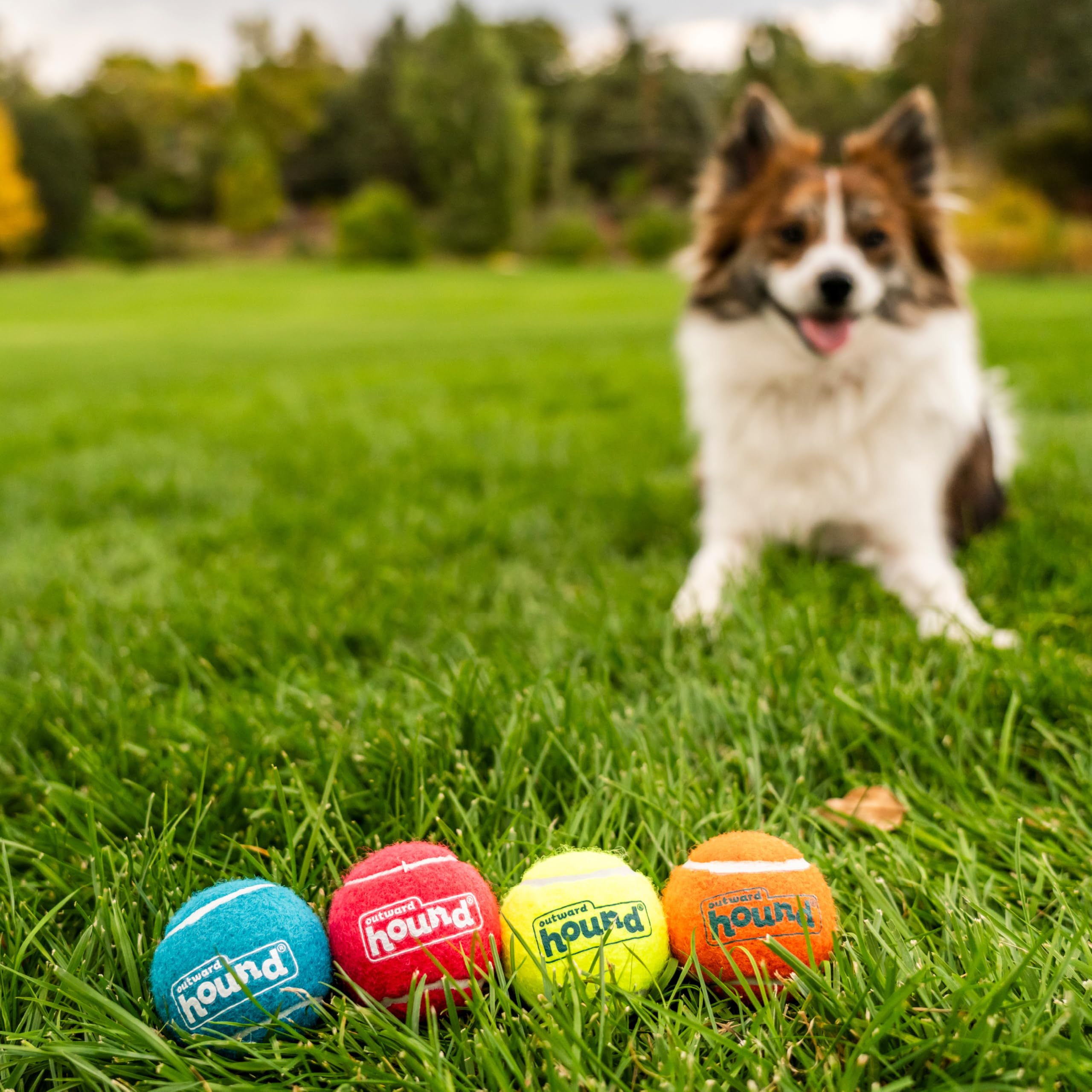 Outward Hound Squeaker Ballz Fetch Dog Toy - Small Size, 4 Pack | Natural Rubber 5