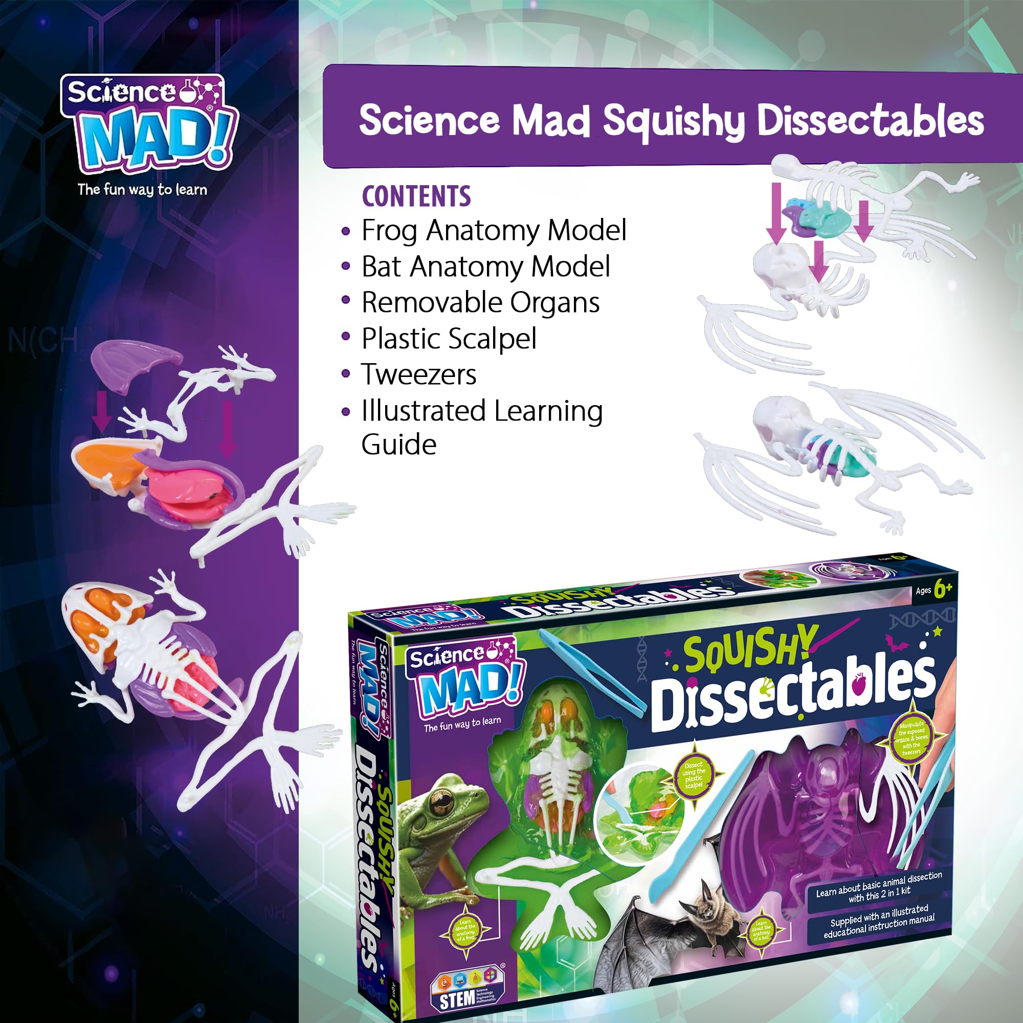 Science Mad Squishy Dissectables 2 Pack - Frog & Bat Anatomy Kit | STEM Learning