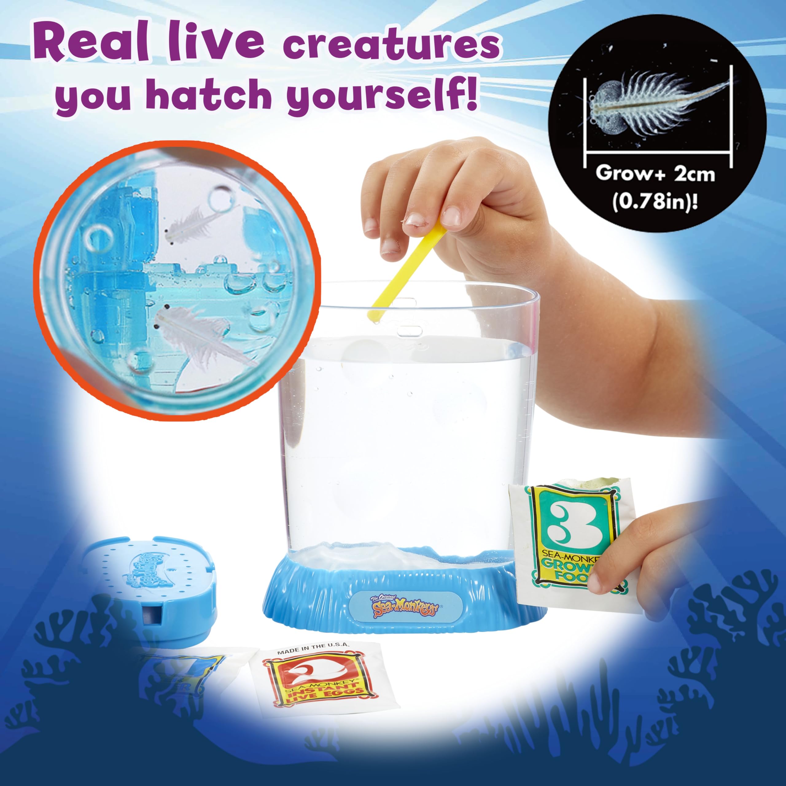 BANDAI Sea Monkeys Instant Life Retro Pack | Grow Your Own Brine Shrimp Pets | Ages 5+ 4