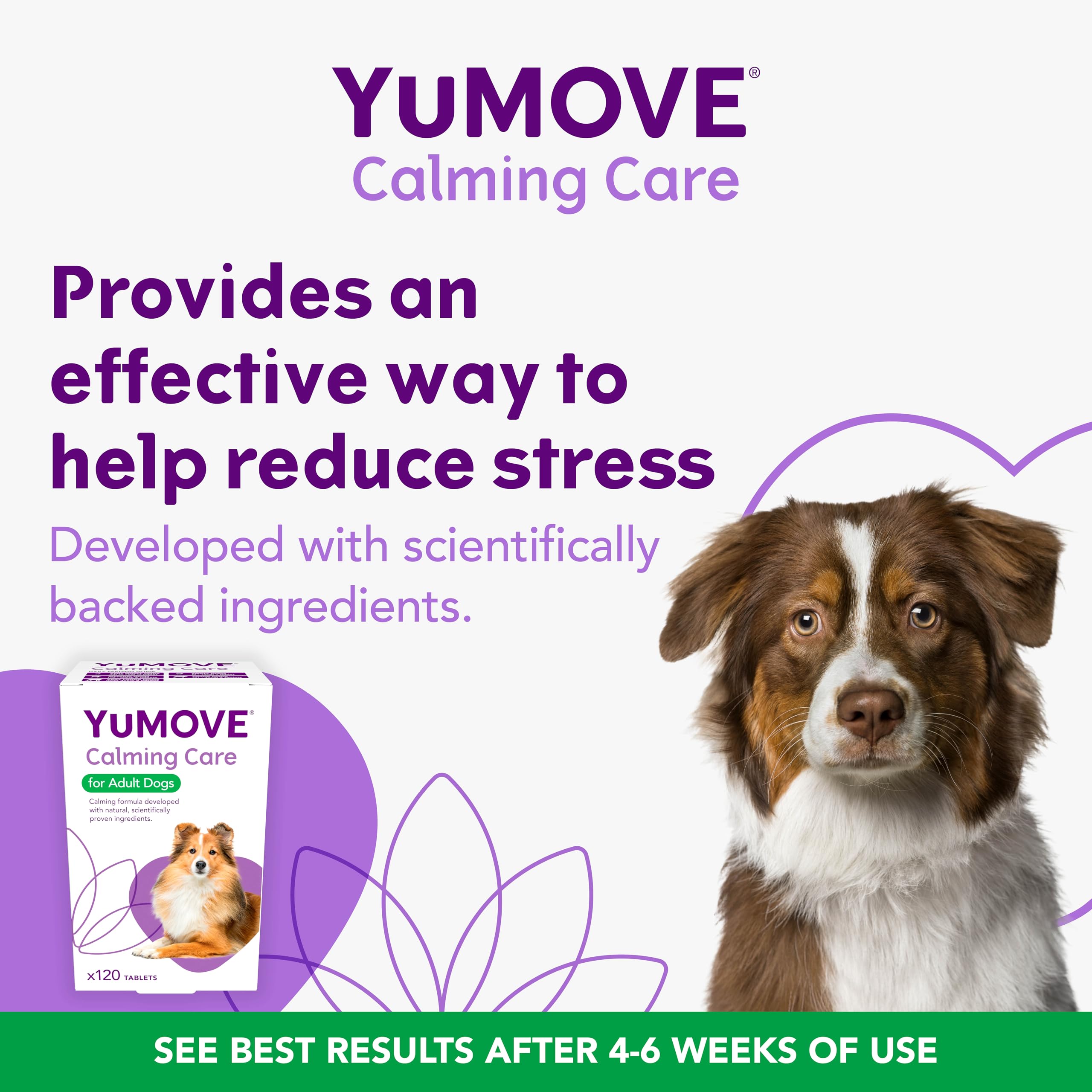 YuMOVE Calming Care Tasty Treats Dog Supplements for Anxiety Relief | 120 Tablets 2