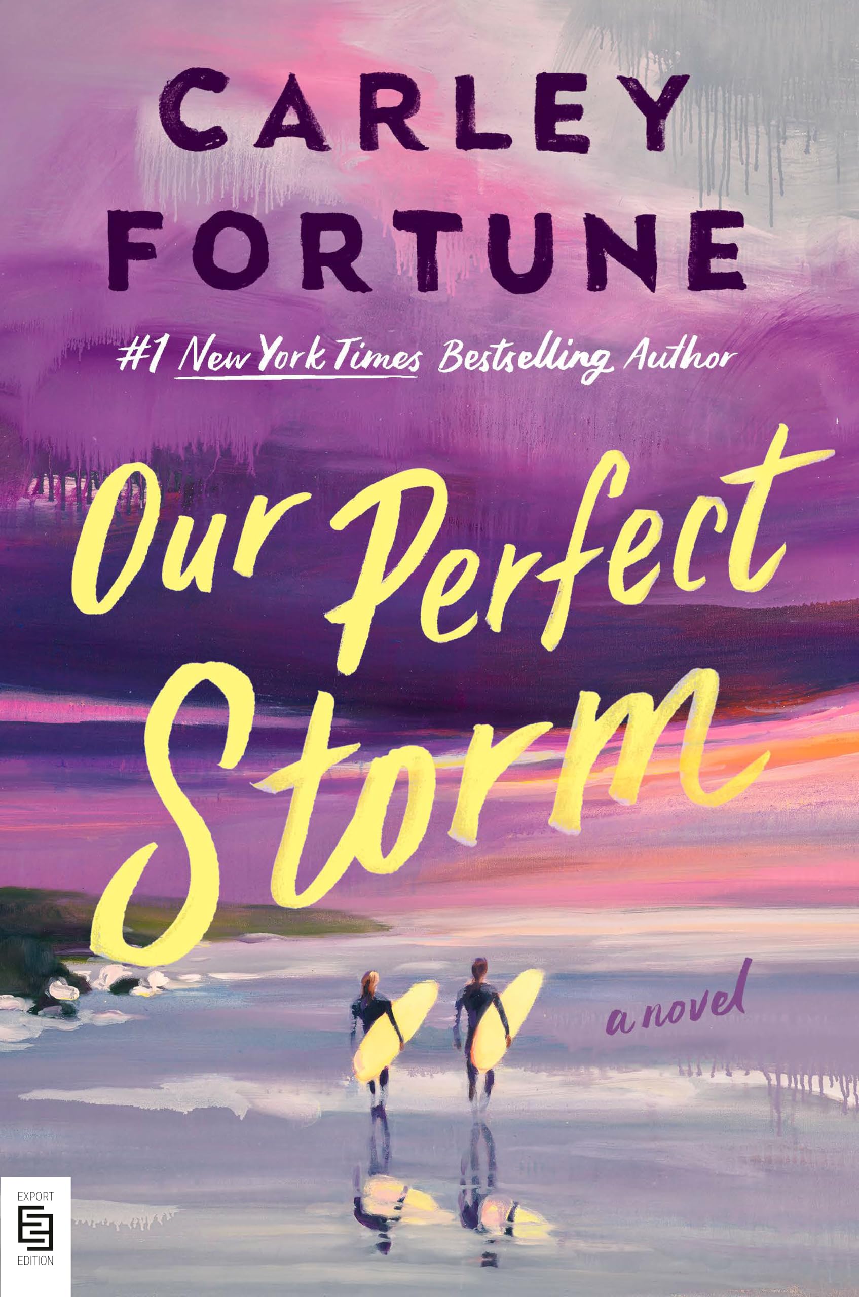 Berkley Our Perfect Storm - Literary Fiction | Paperback | English