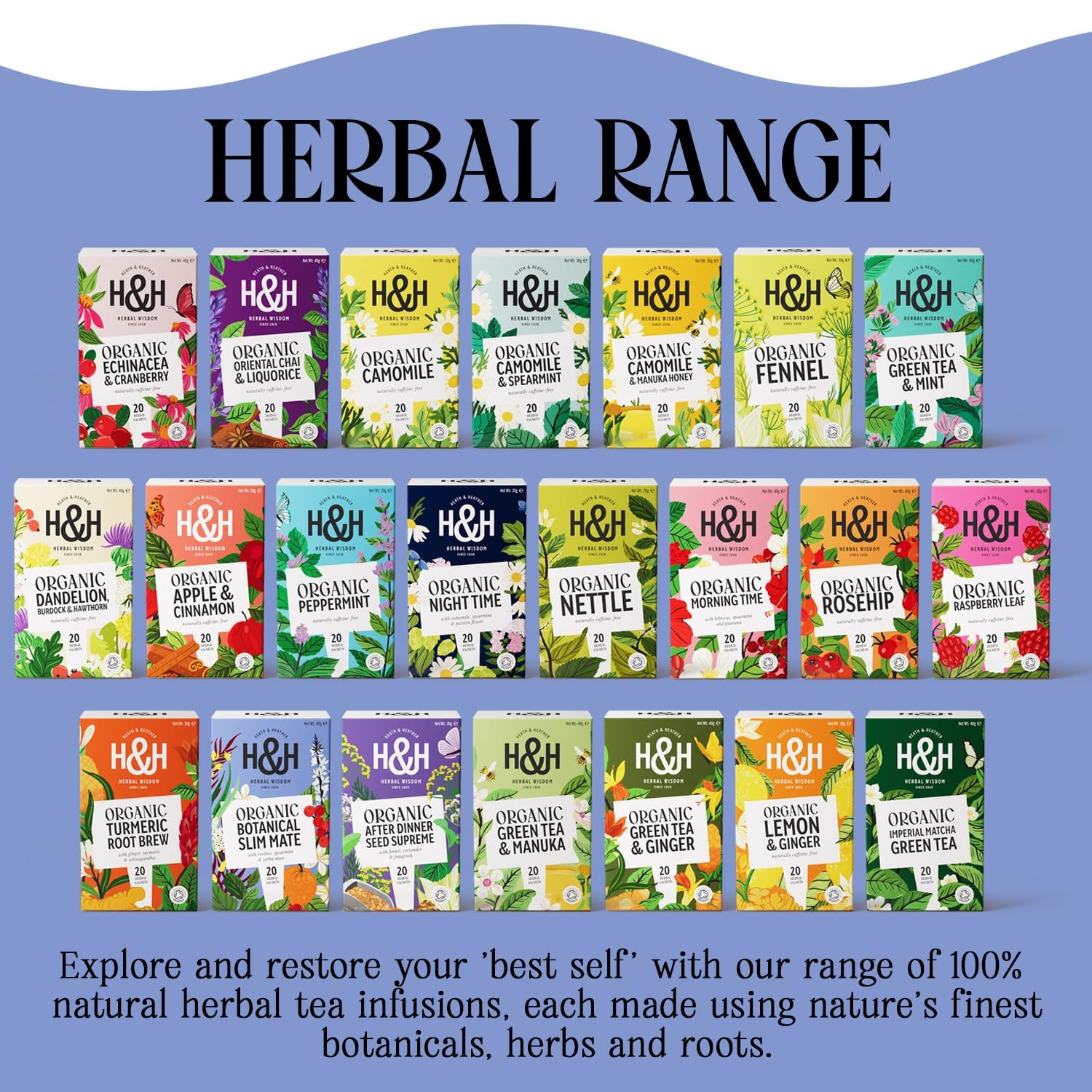 Heath & Heather Organic Slim Mate Tea with Green Tea & Yerba Mate | 20 Count Teabags | Boost Metabolism 6