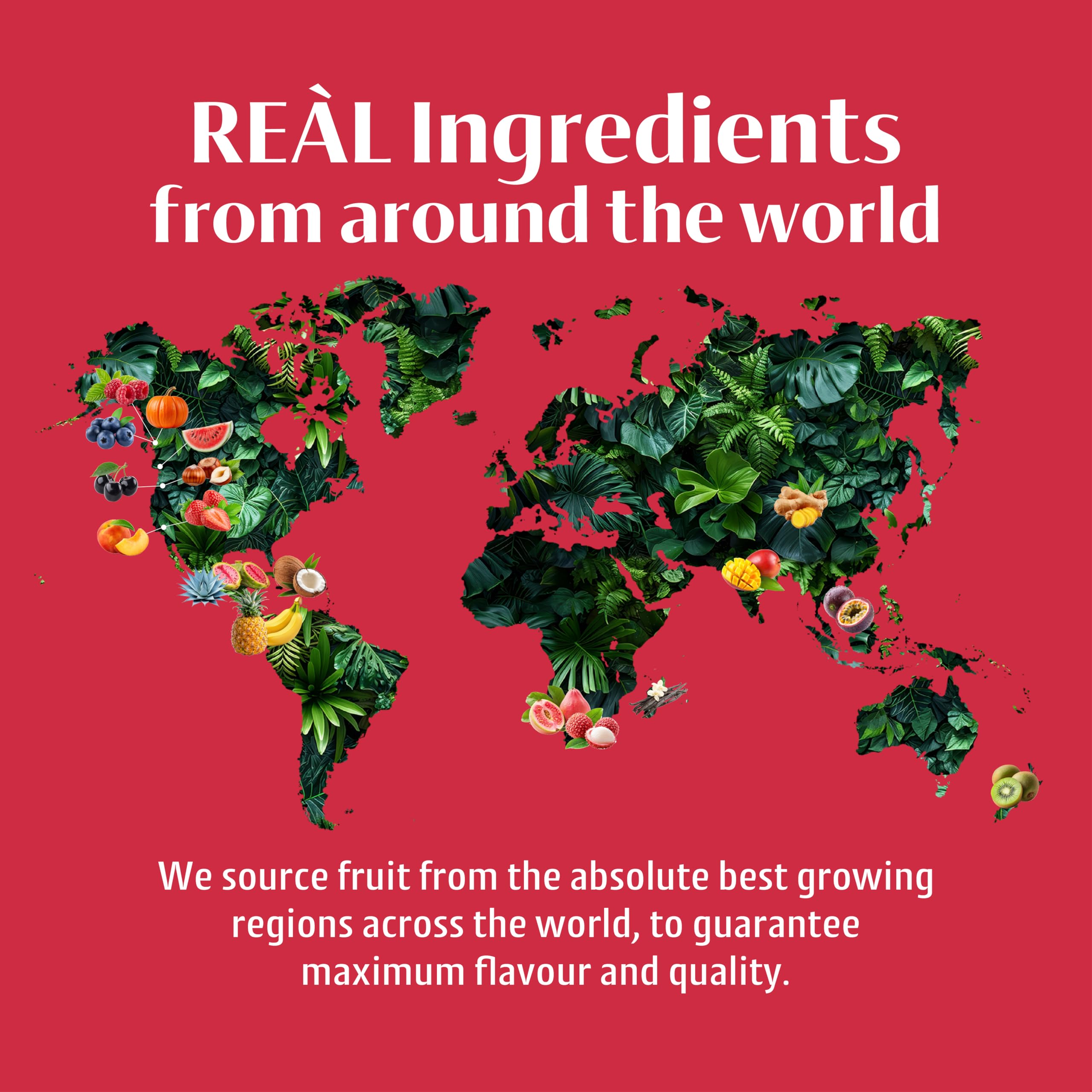 Reàl Infused Exotics Strawberry Fruit Syrup - 40% Real Strawberry Puree | 500ml Squeezy Bottle 7