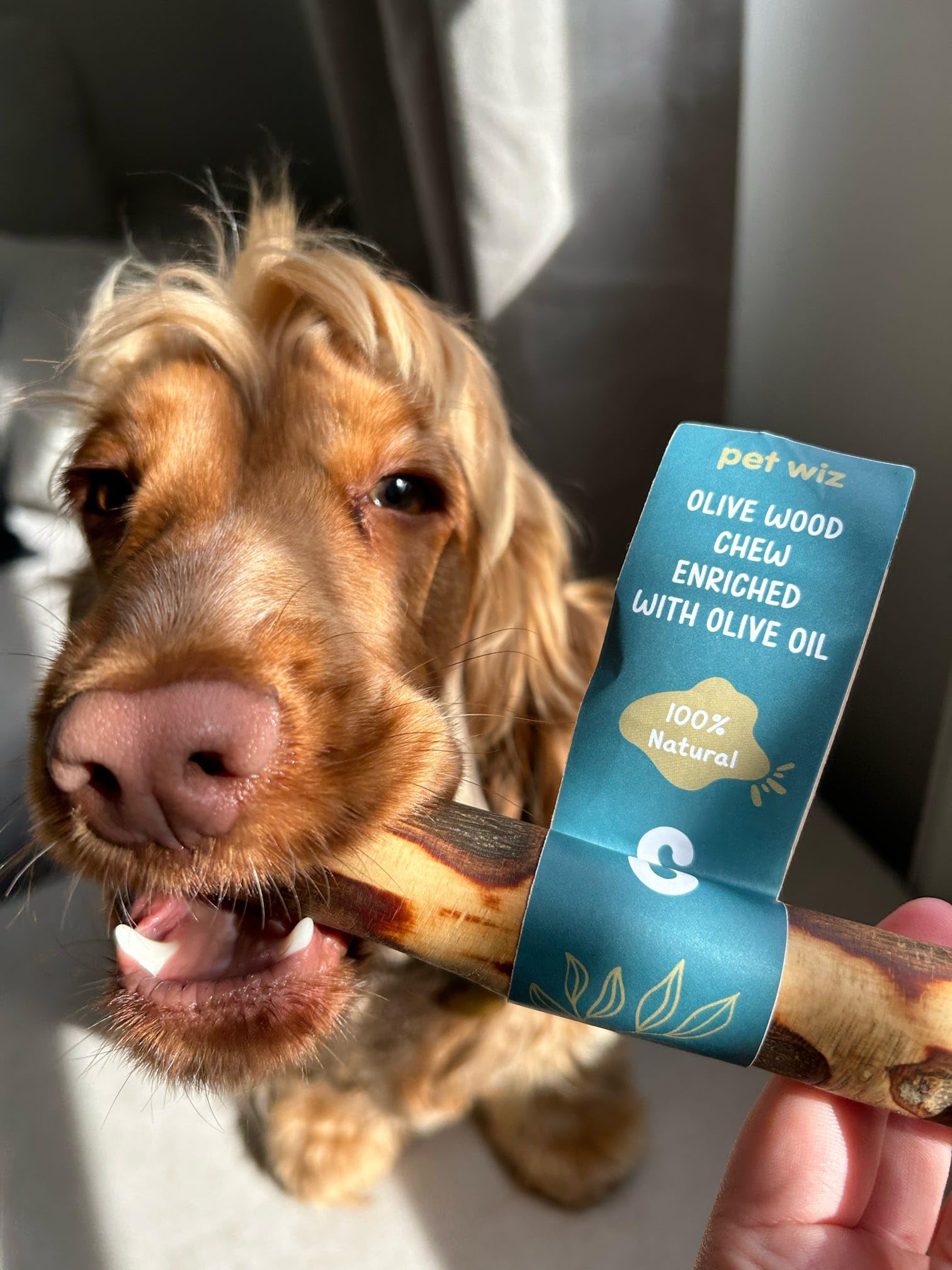 pet wiz Olive Wood Dog Chew Toy - Oral Hygiene & Mental Stimulation | Large Size 2