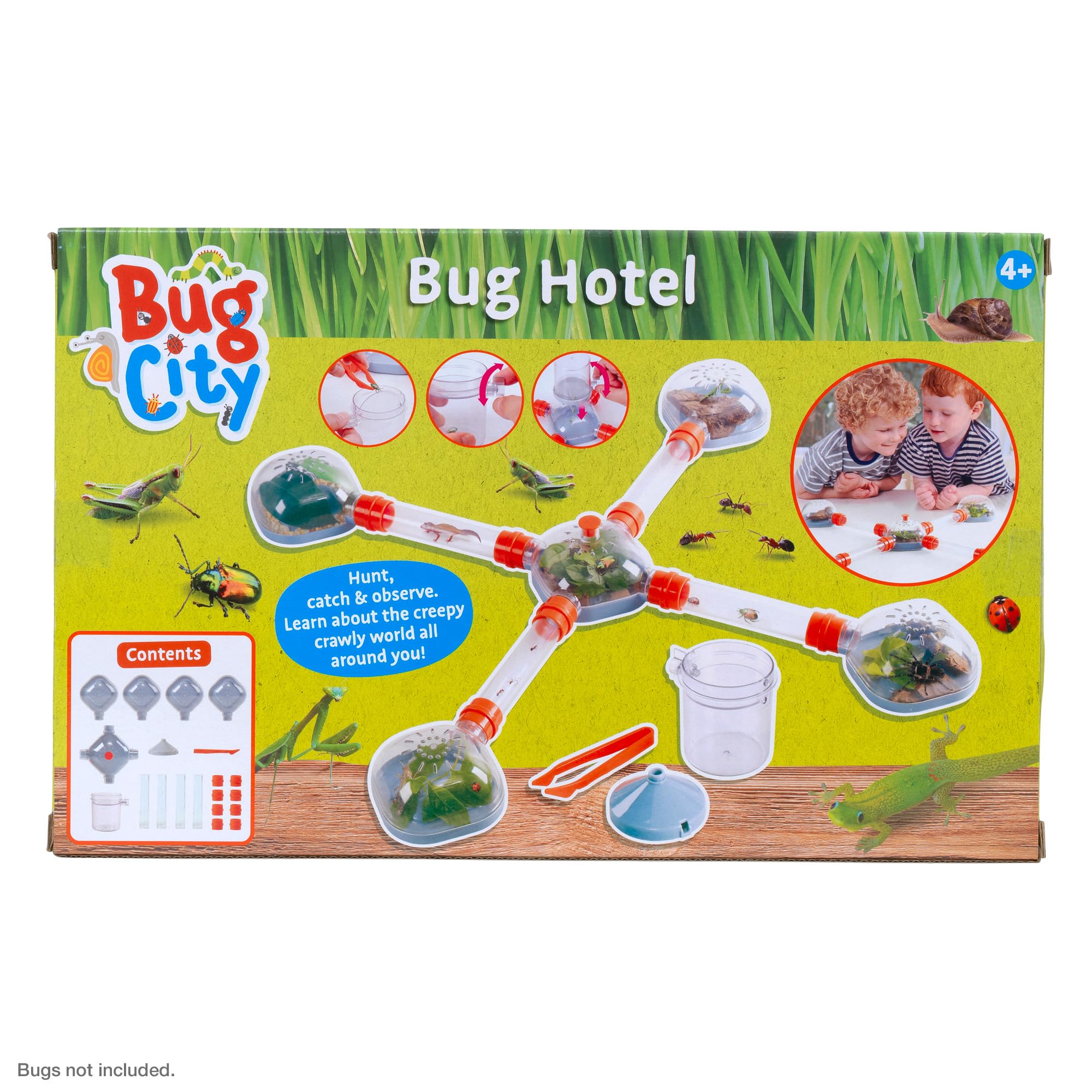 Peterkin Classics Bug City Bug Hotel Science Kit | STEM Learning | Green Plastic 7