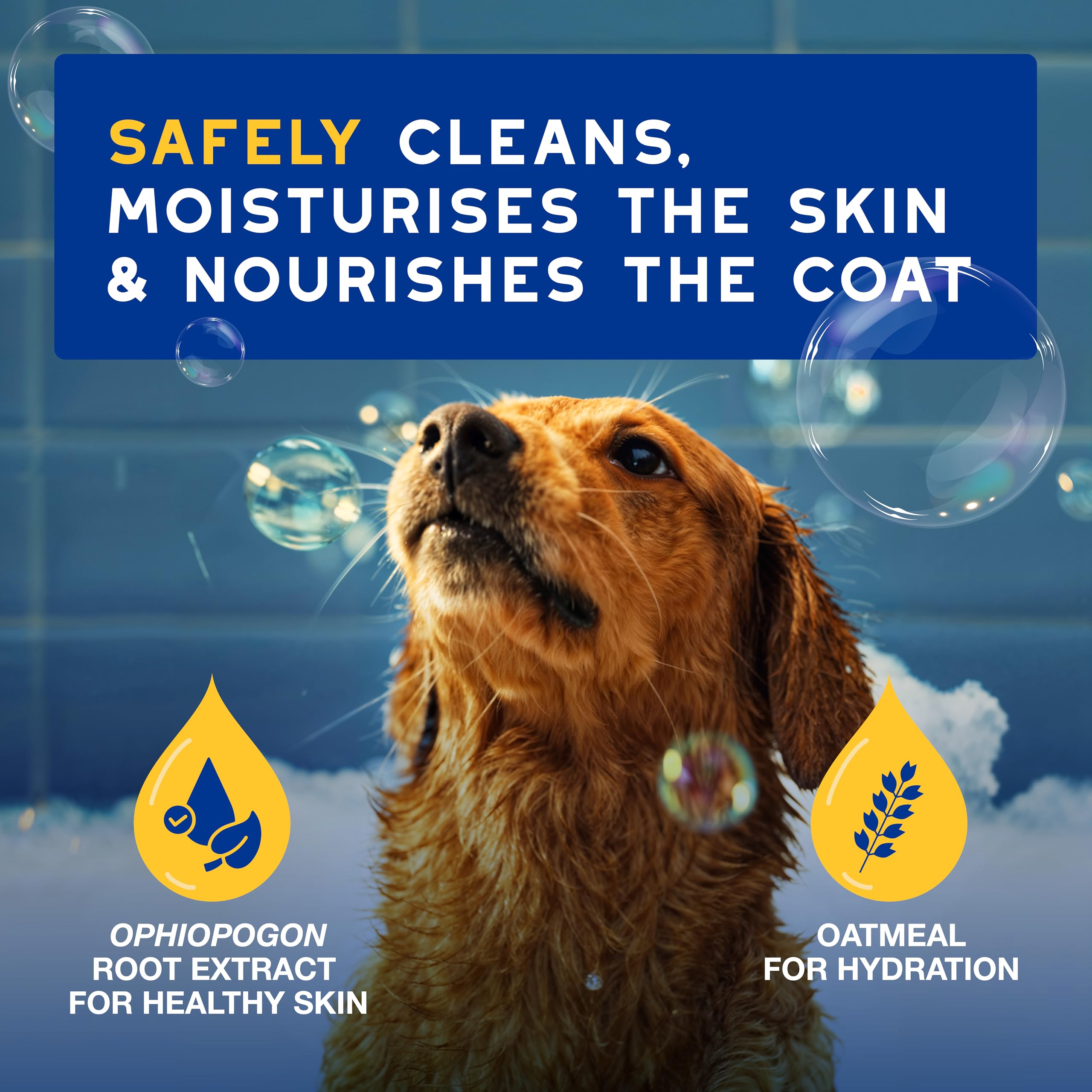 Douxo Skin & Coat SPA Oatmeal Dog Shampoo - Deep Hydration & Cleansing | 250 ml