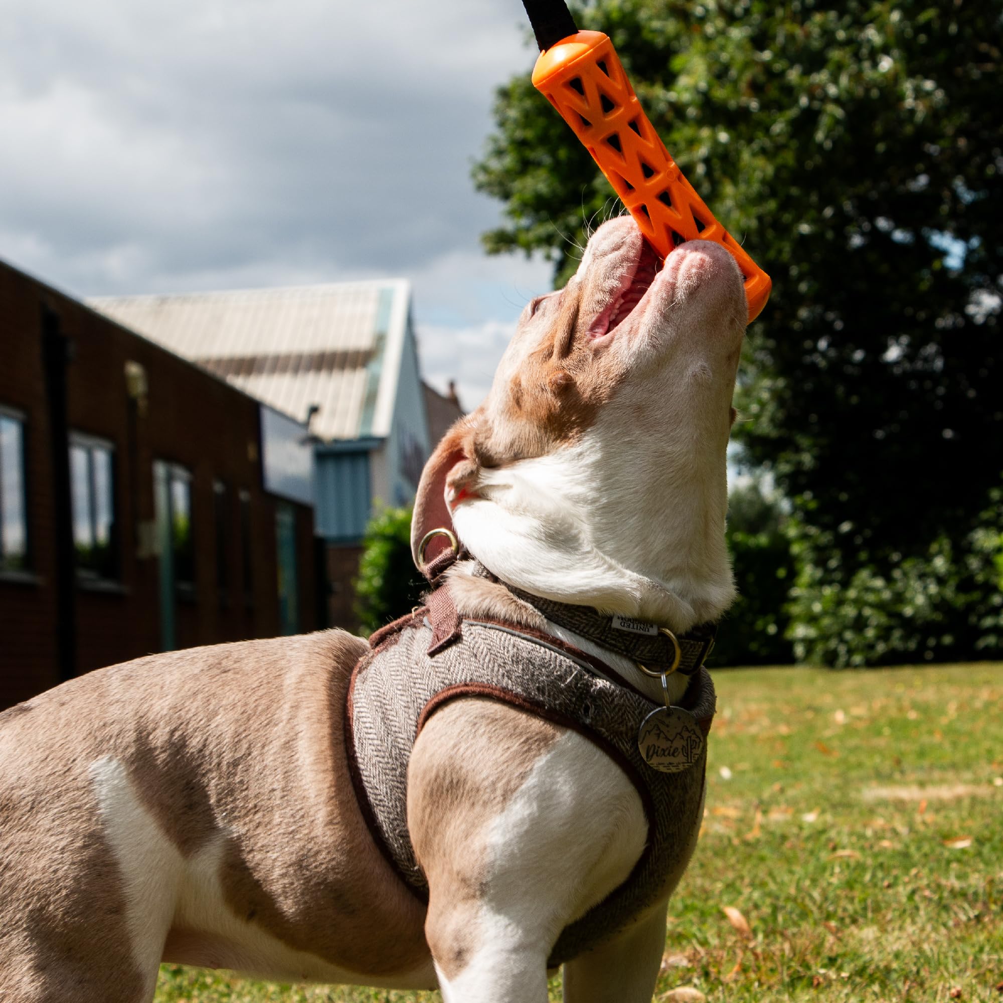 Ancol Extreme Floating Baton Dog Toy - Orange/Black, 25cm Length