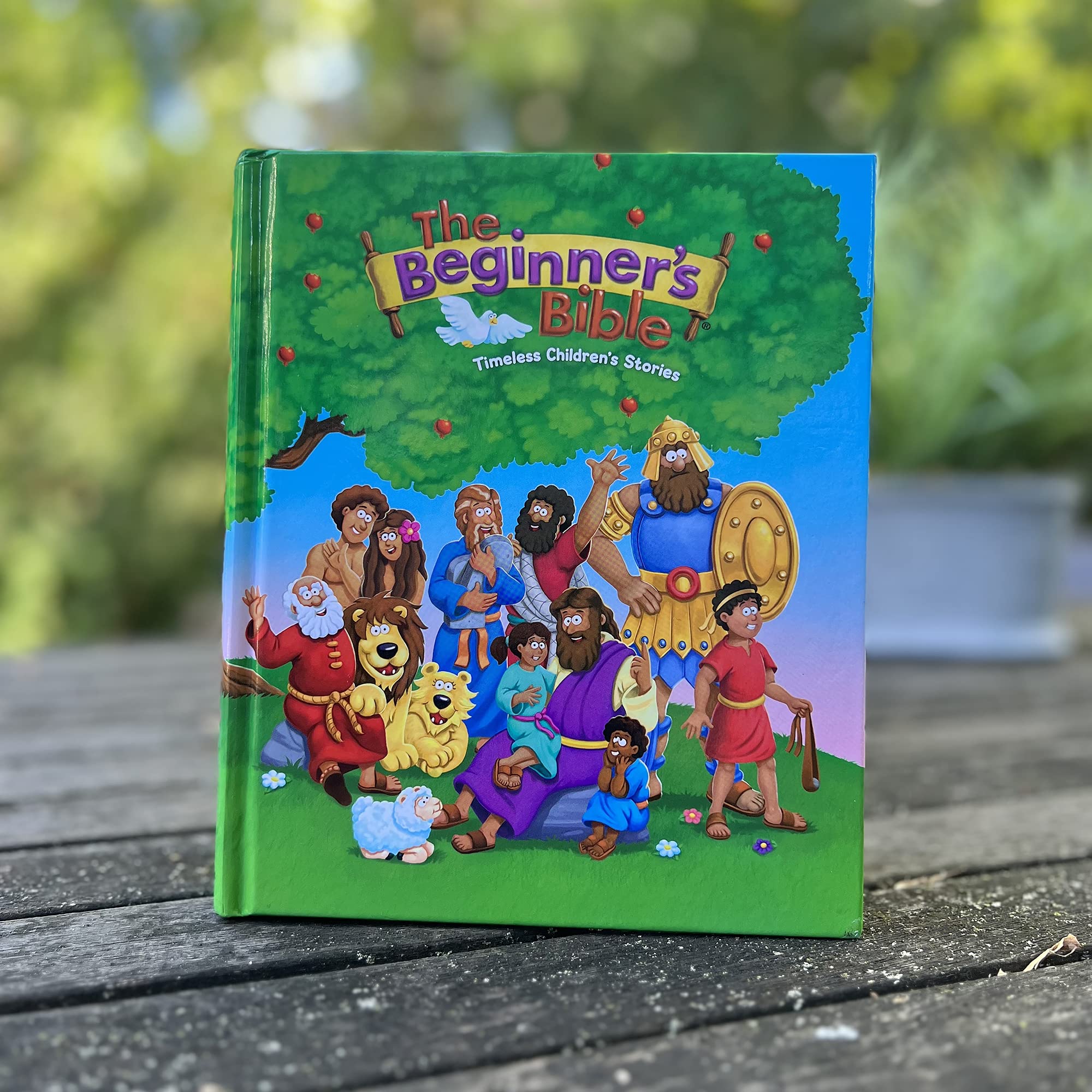 The Beginner's Bible - Timeless Children's Stories | Hardcover Illustrated Edition 5