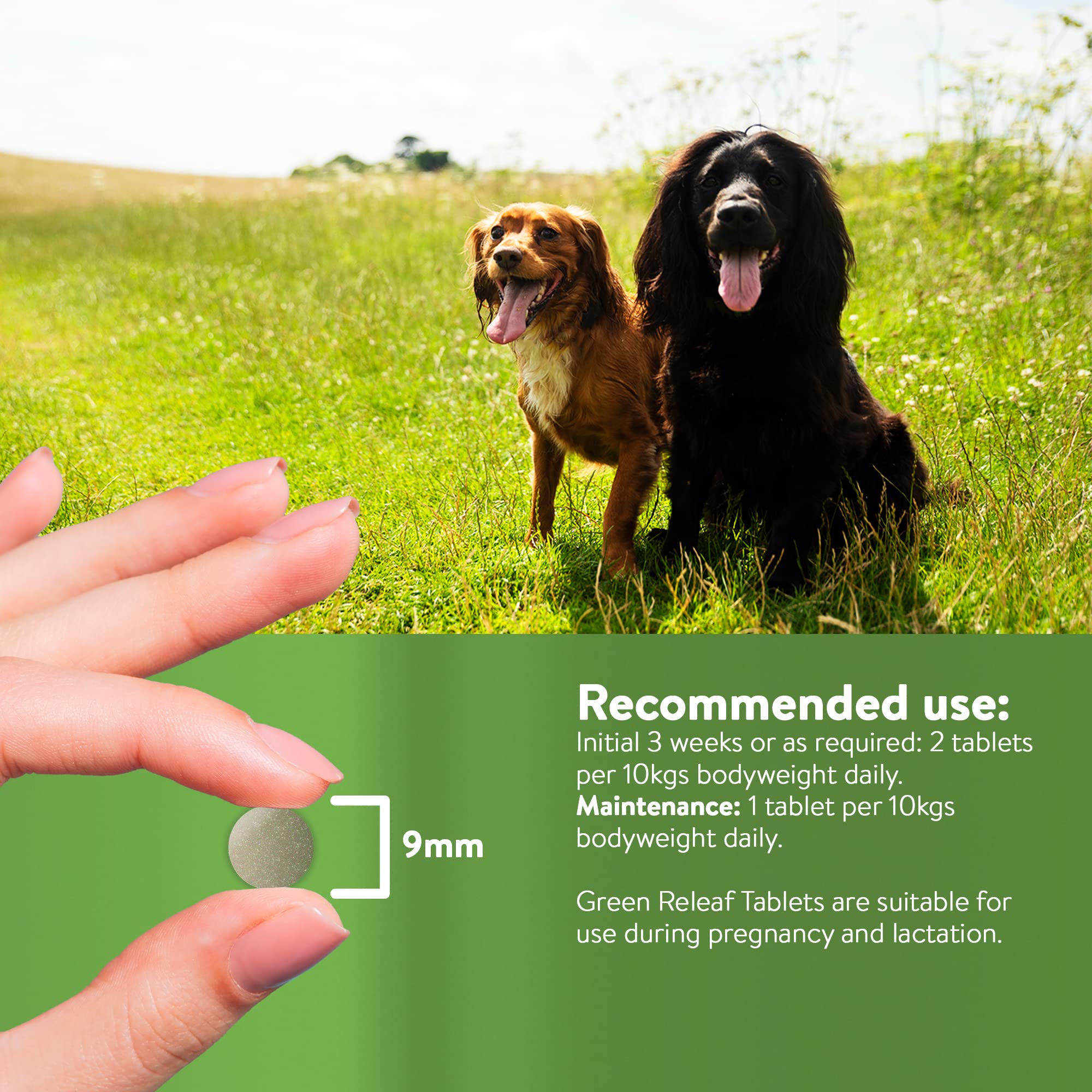 DORWEST HERBS Green Releaf Tablets for Dogs & Cats - Joint, Skin & Urinary Support | 100 Count 4