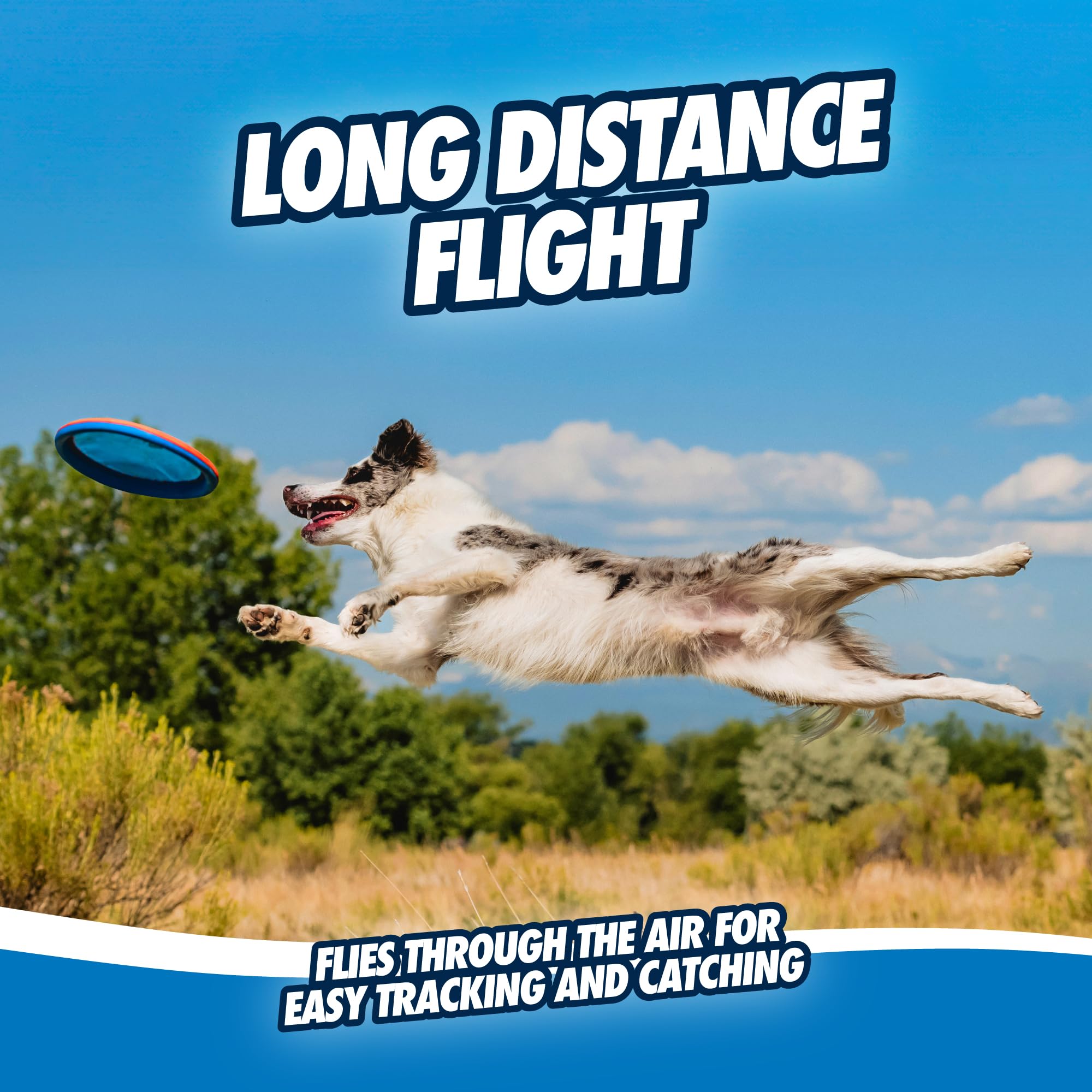 Chuckit! Paraflight Dog Toy - Floating Flying Disc for Fetch Play | Large Size | Durable Polyester 6