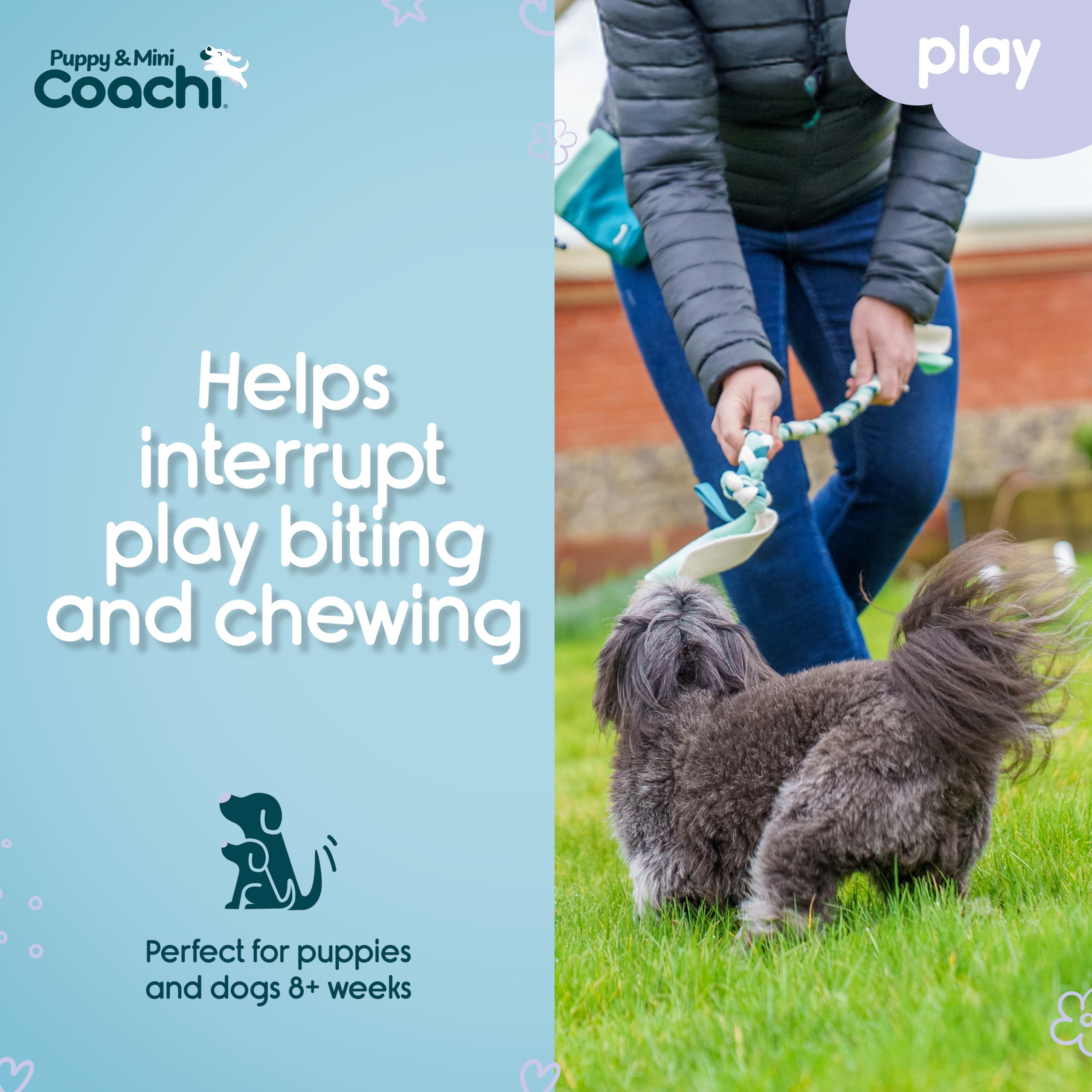 Coachi Puppy & Mini Tuggi Tug - Strong Fabric Tug Toy for Training & Play | Teal & Mint 3