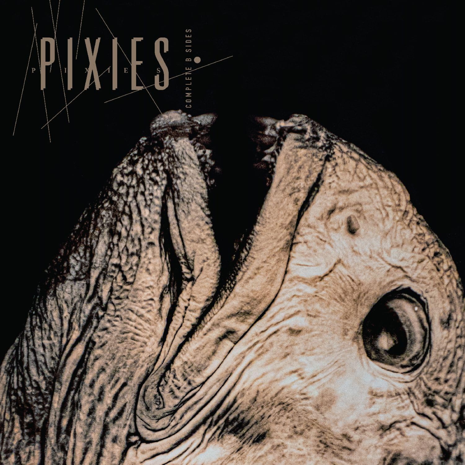 Pixies - Complete B Sides: 1988-97 [Double Black Vinyl] 1