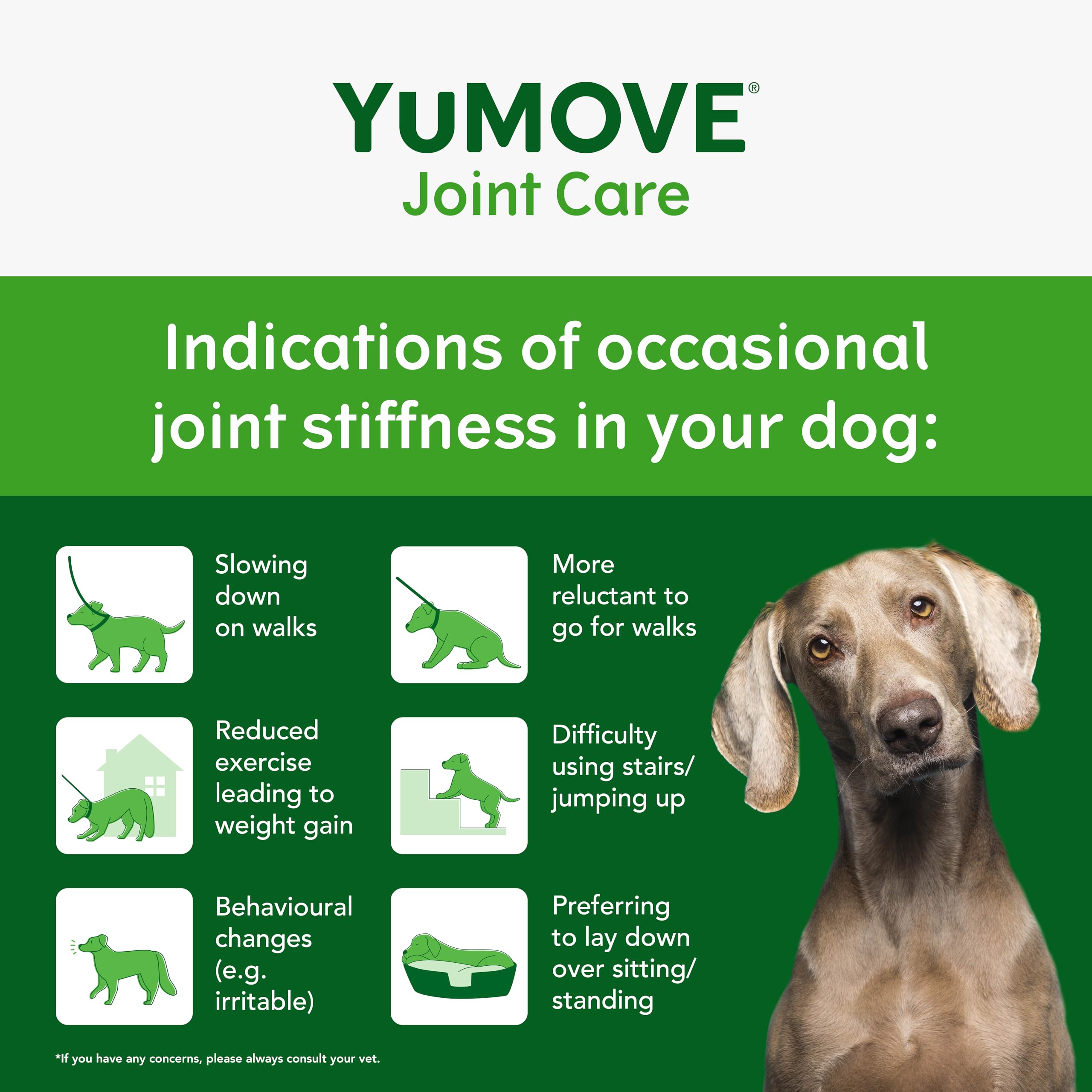 YuMOVE Joint Supplement for Dogs - Higher Strength for Joint Care | 120 Tablets 4