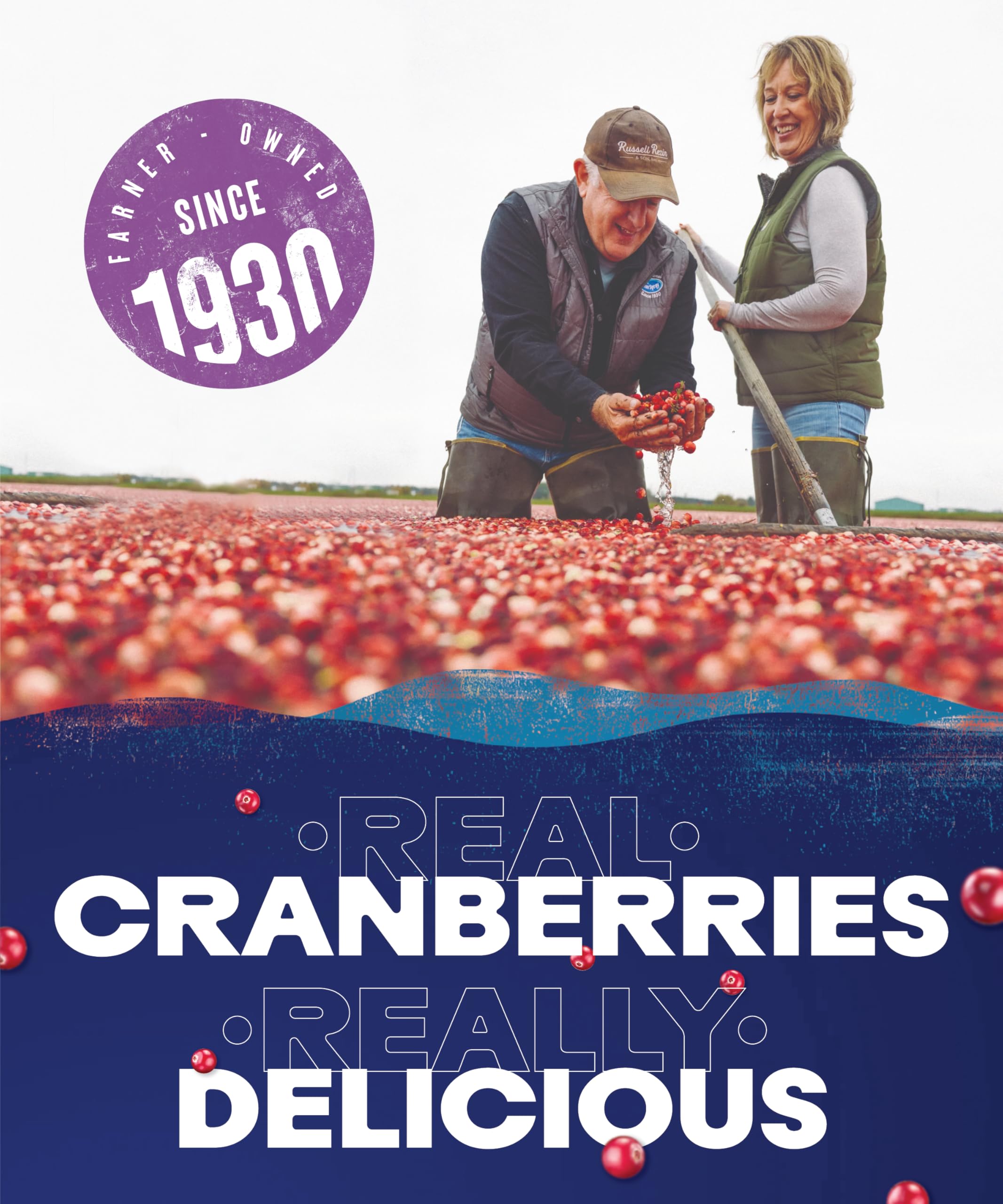 Ocean Spray Cranberry & Blackcurrant Juice Drink - 1L Carton | Rich in Vitamin C | No Artificial Sweeteners 5