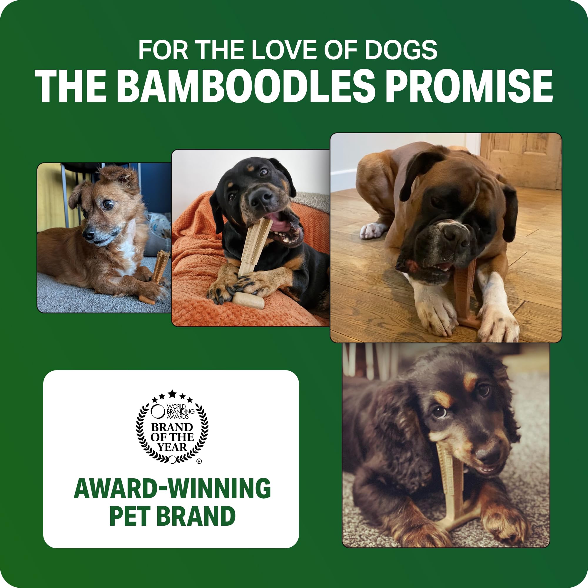 Bamboodles T-Bone Dog Chew Toy - Large Size | Cheese Flavour | Heavy Duty 7