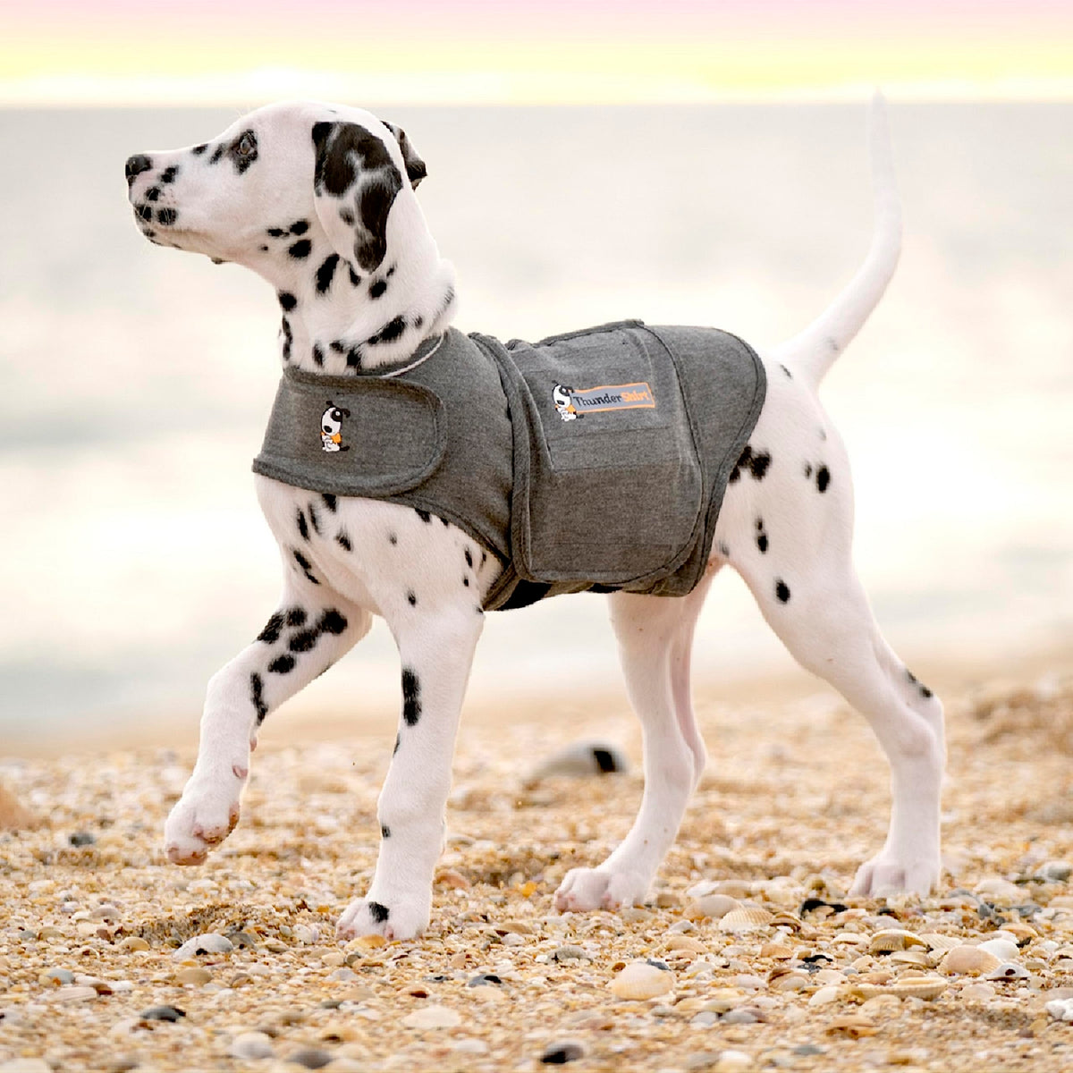 Thundershirt Anxiety Coat for Dogs - Large, Grey