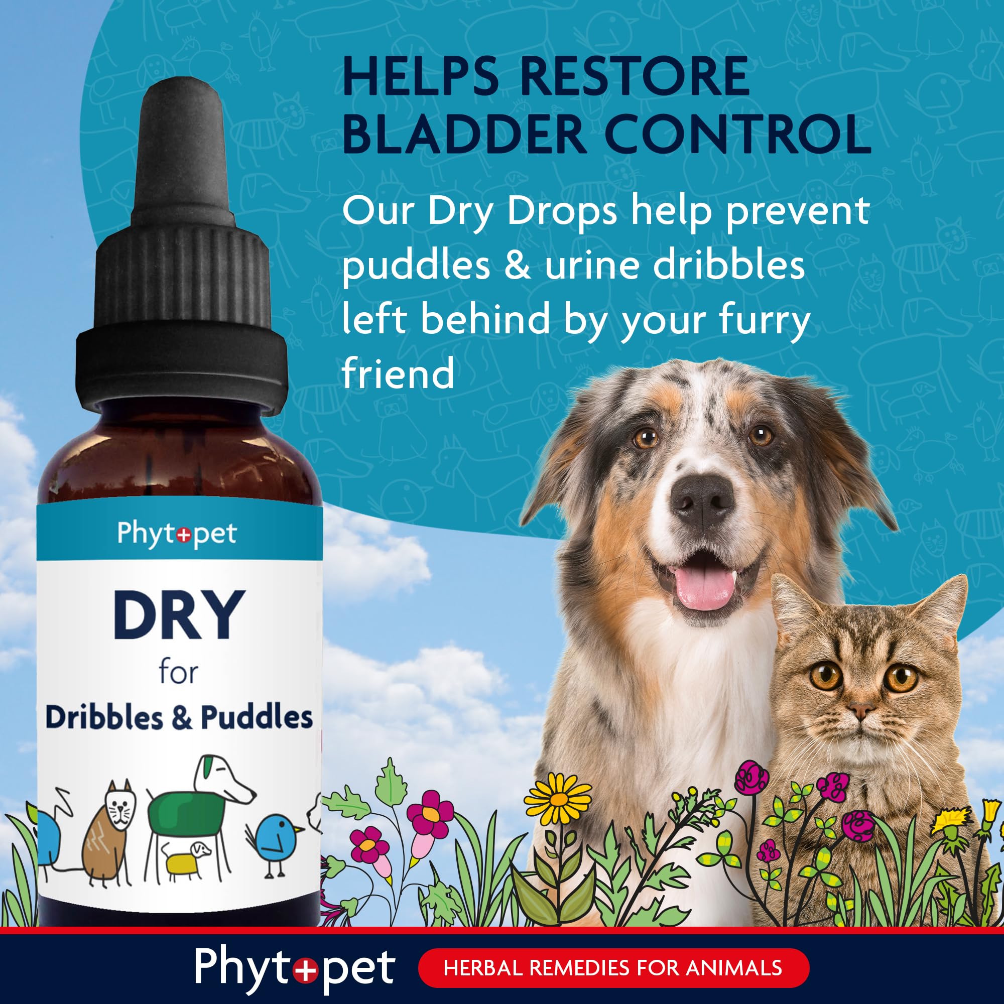 Phytopet Dry Herbal Supplement - Urinary Tract Support | 100ml Liquid 2