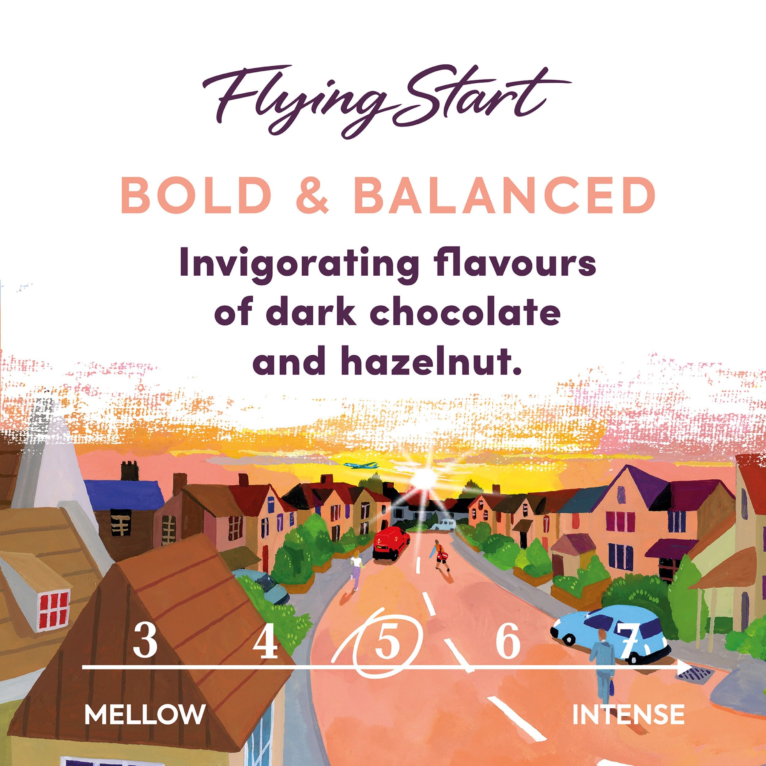 Taylors of Harrogate Flying Start Ground Coffee Bags - Dark Roast, Hazelnut & Dark Chocolate Flavor | 10 Count, 75g