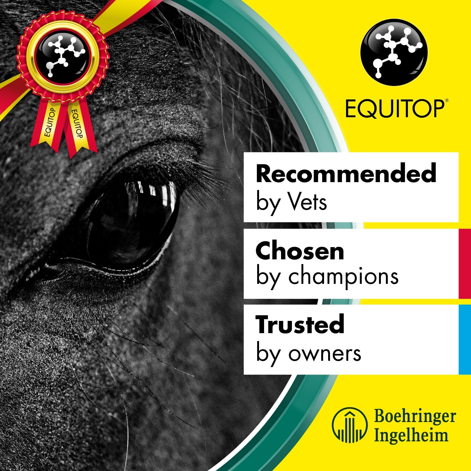 EQUITOP Myoplast Muscle Supplement for Horses - 1.5 kg Tub | Supports Lean Muscle Development 5