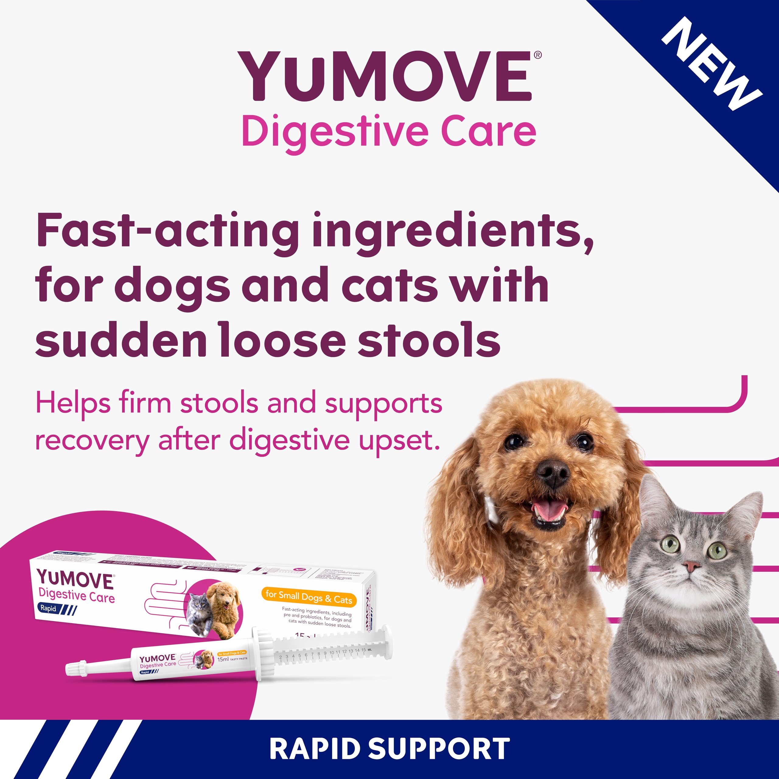 YuMOVE Digestive Care Rapid Paste for Cats & Dogs - Fast-Acting Pre & Probiotic for Loose Stools | 15ml 2