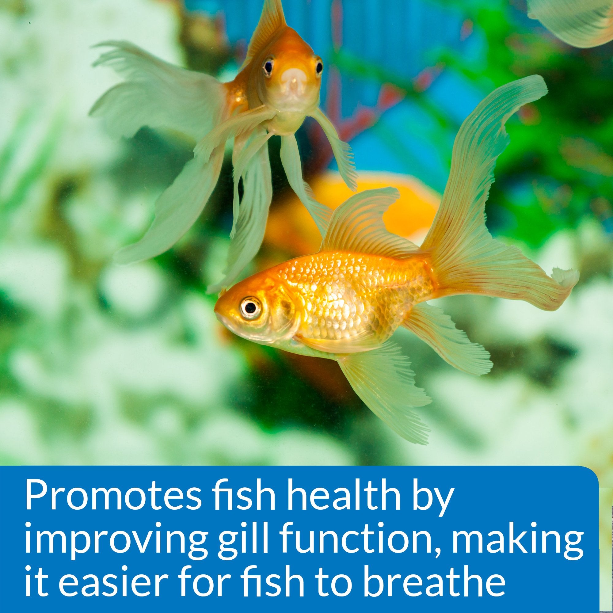 API Aquarium Salt for Freshwater Aquariums - Promotes Health & Recovery | 1844g Box 4