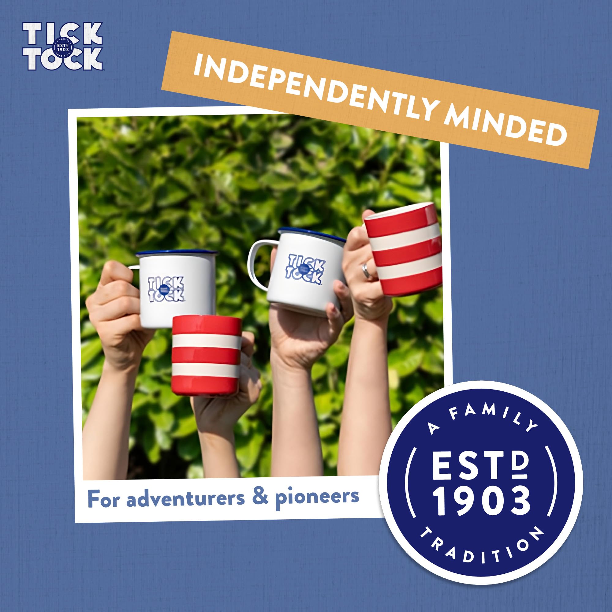 Tick Tock Organic Green Rooibos Tea Bags - Naturally Caffeine-Free, Biodegradable, 288g 4