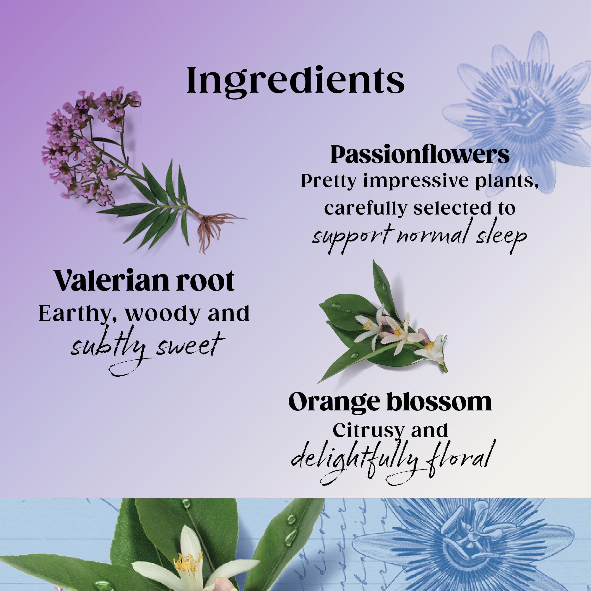 Twinings Superblends Sleep Tea - Valerian Root & Orange Blossom Herbal Tea | 20 Count (Pack of 4) 4