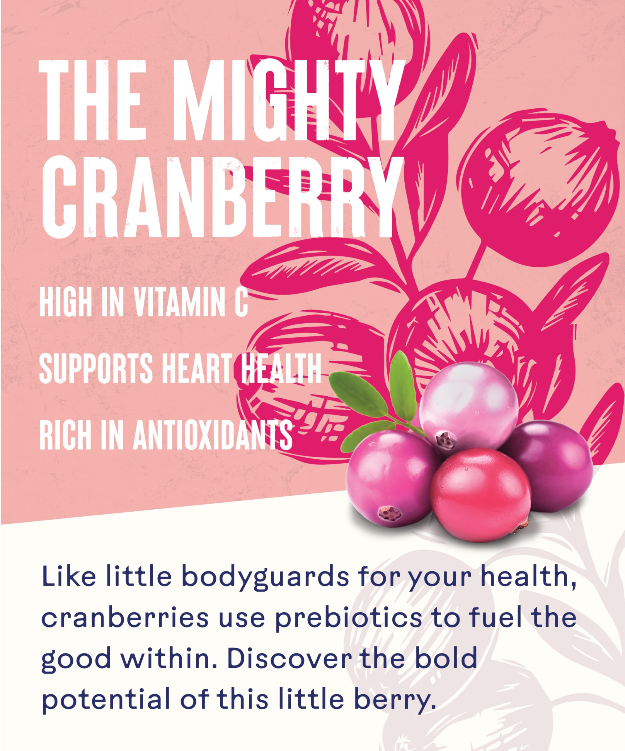Ocean Spray Pink Cranberry Juice Drink - No Added Sugar | 1L Carton | Rich in Vitamin C 4