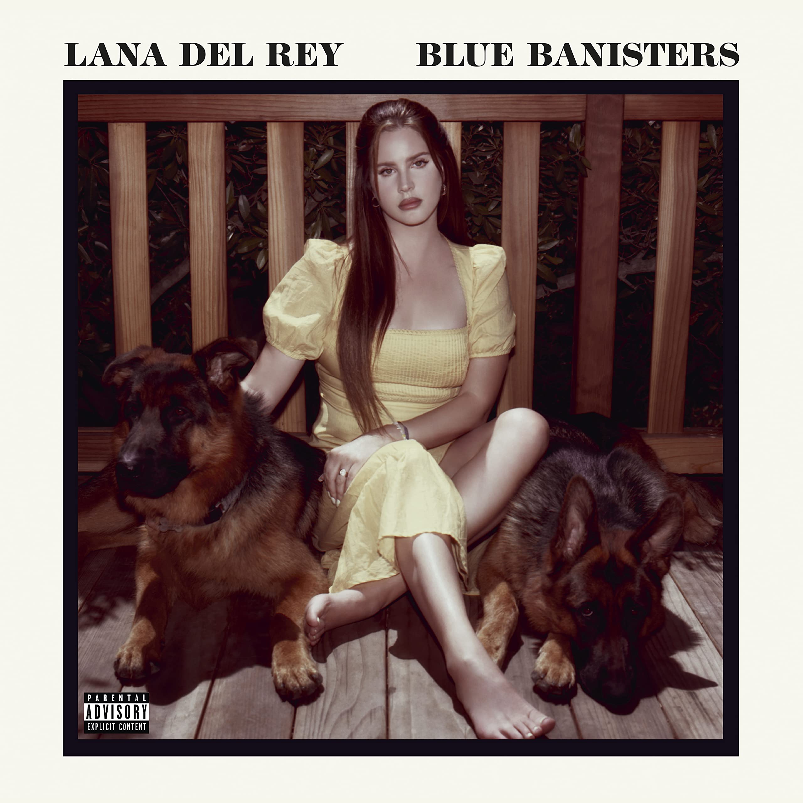 Lana Del Rey - Blue Banisters [Double VINYL] 3
