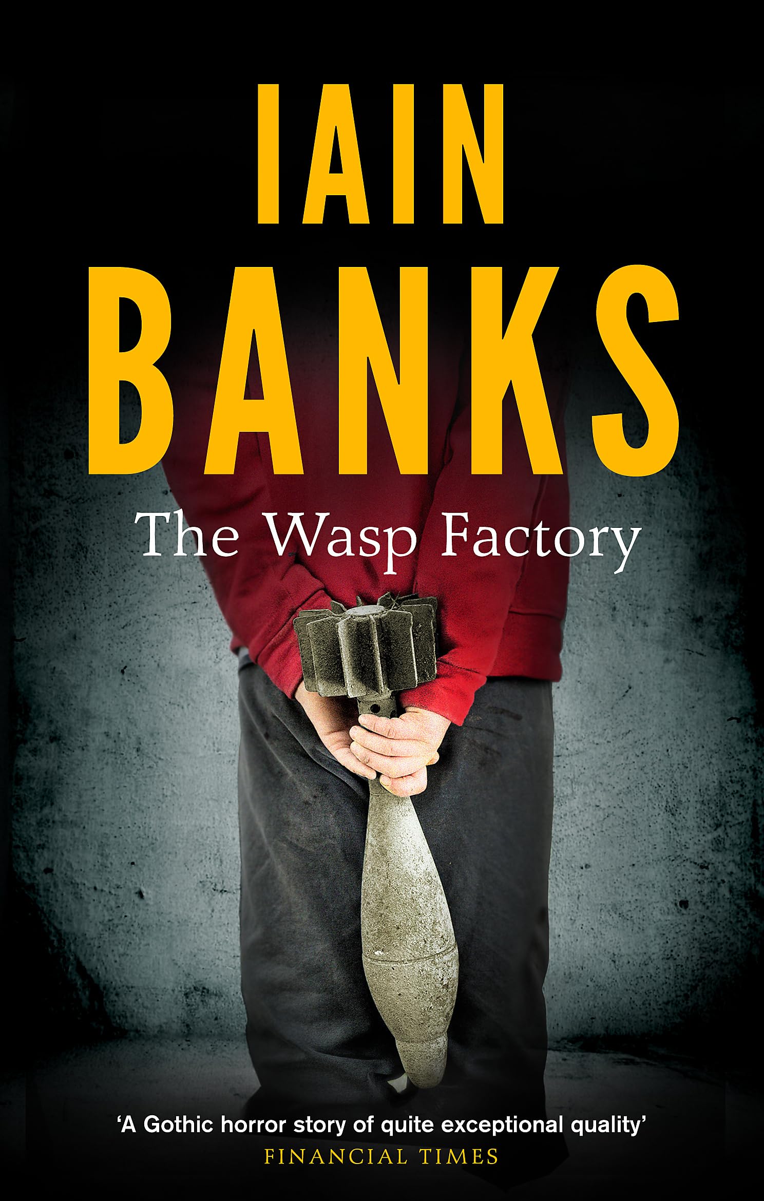 Abacus The Wasp Factory - Metaphysical & Visionary Fiction Paperback