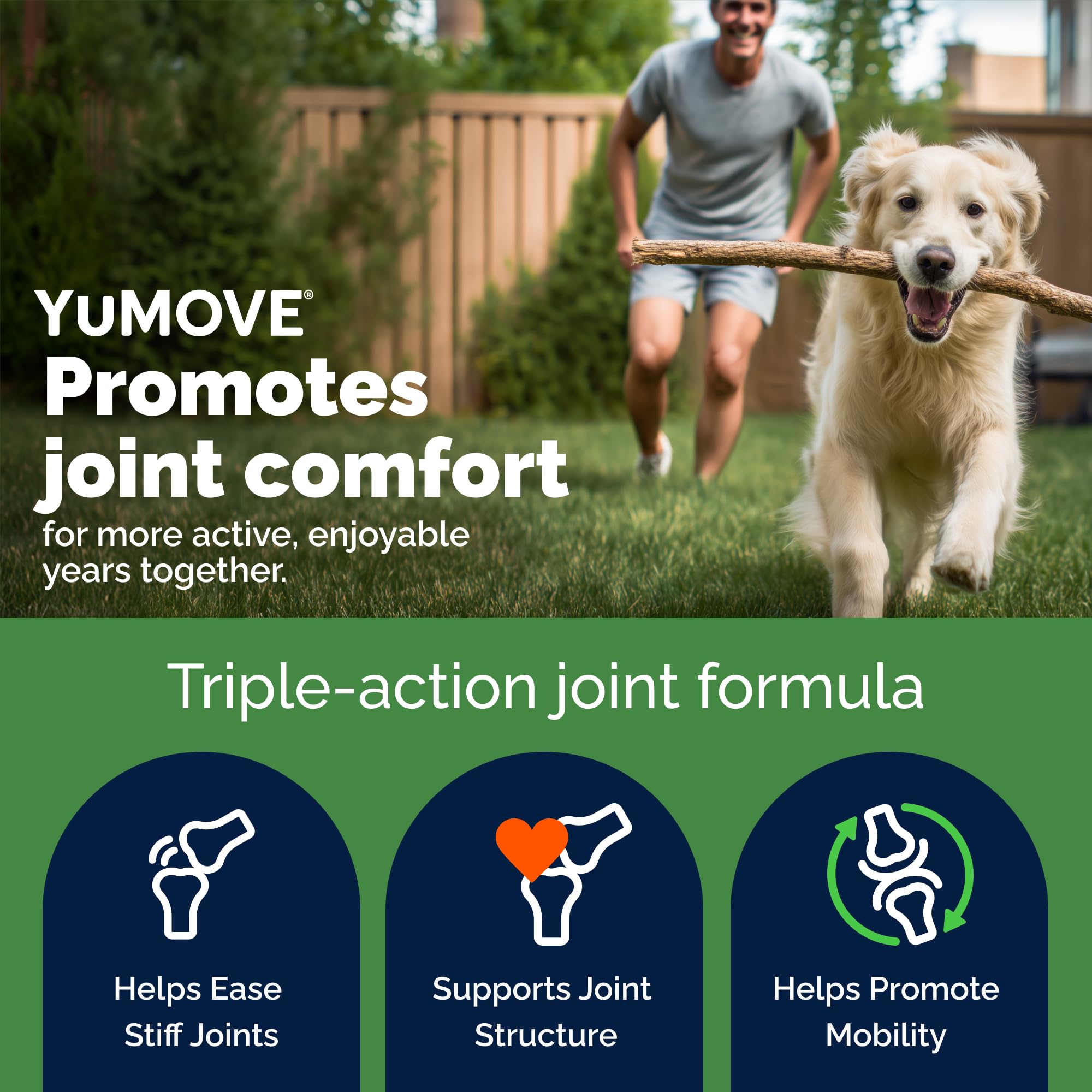 YuMOVE Joint Supplement for Dogs - Aid for Stiff Adult Dogs | 120 Tablets 2