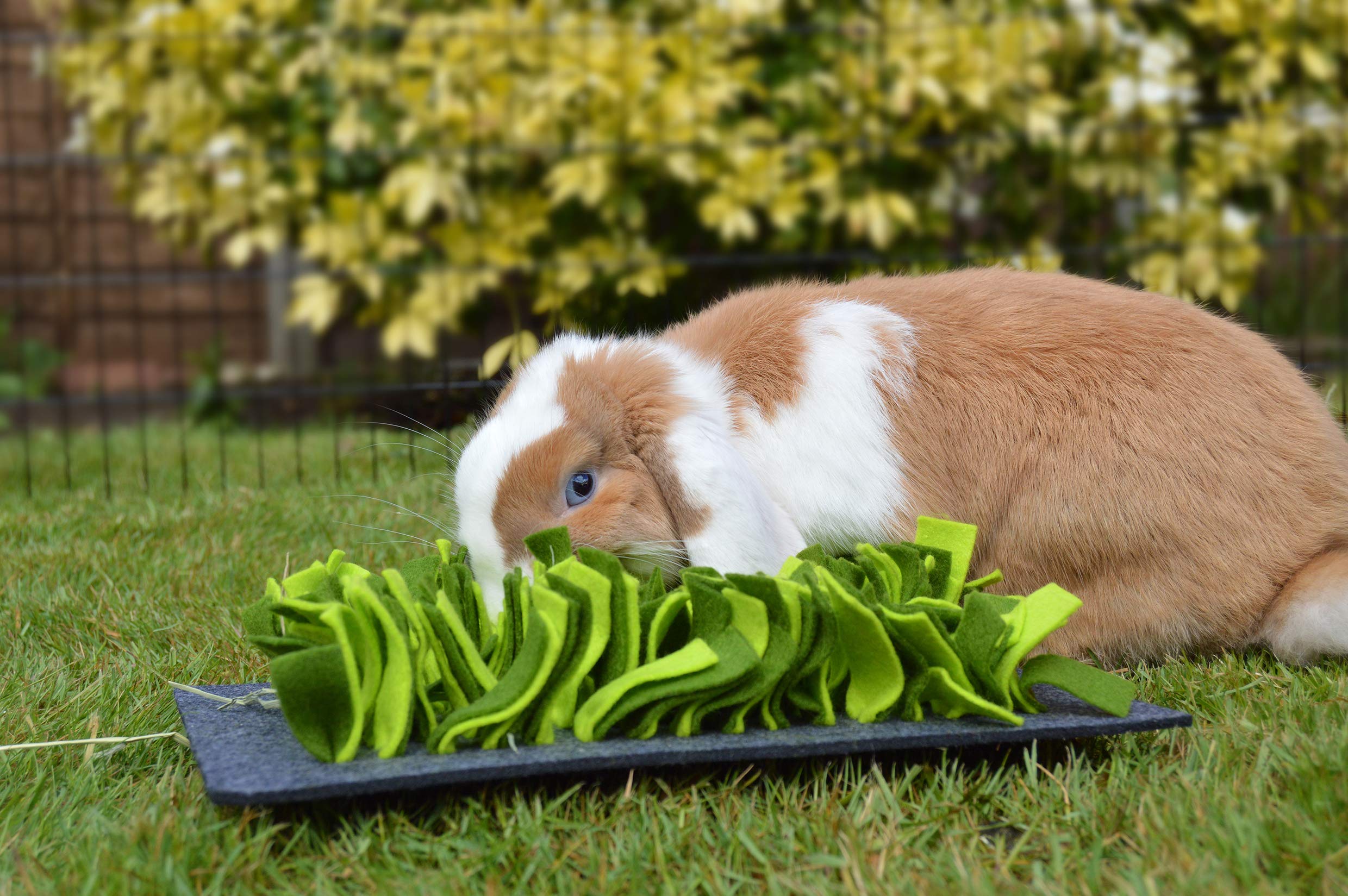 Rosewood Boredom Breaker Snuffle Forage Mat - Foraging Enrichment | Green | 29.5 x 20cm 3