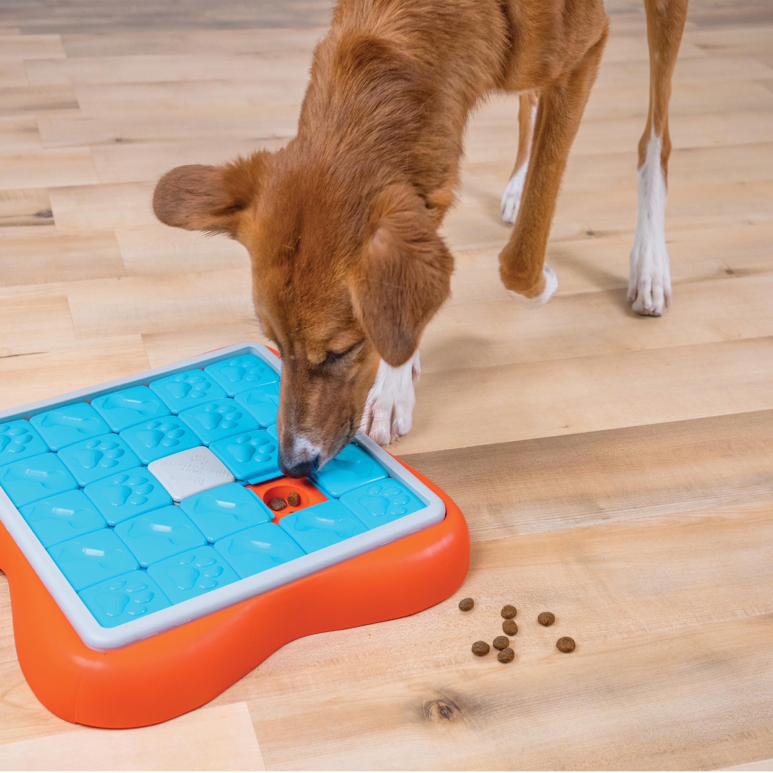 Outward Hound Nina Ottosson Challenge Slider Interactive Treat Puzzle Dog Toy - Level 3 | Large 9