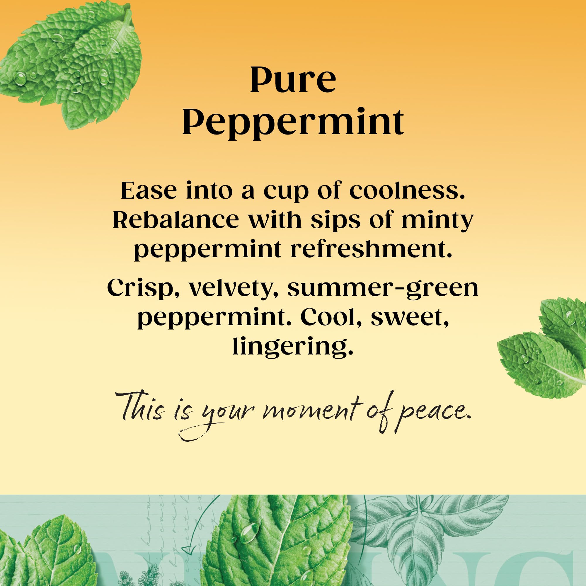 Twinings Pure Peppermint 80 Tea Bags, 160g - Naturally Caffeine Free Herbal Tea 10
